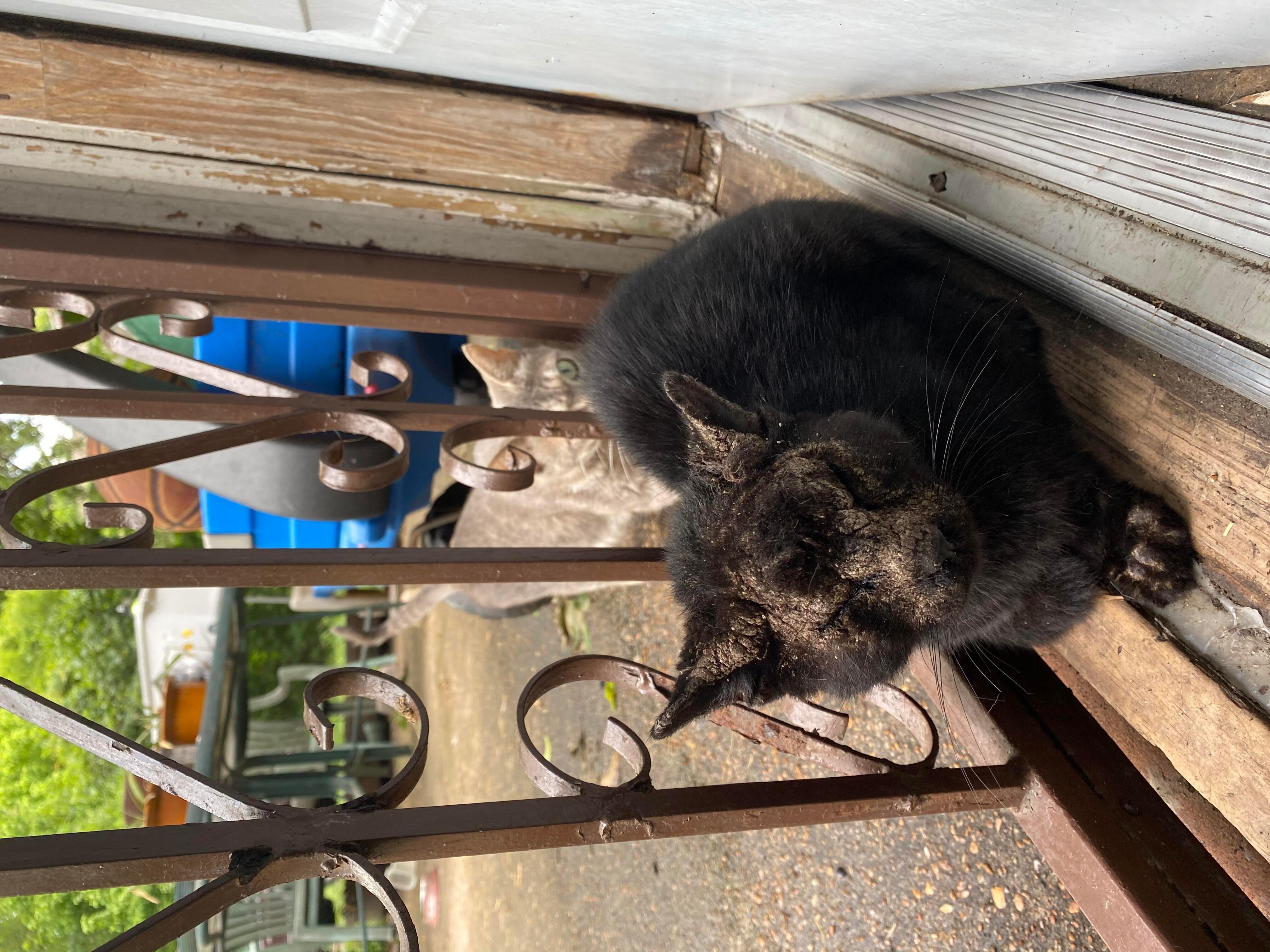 Question details sensitive content