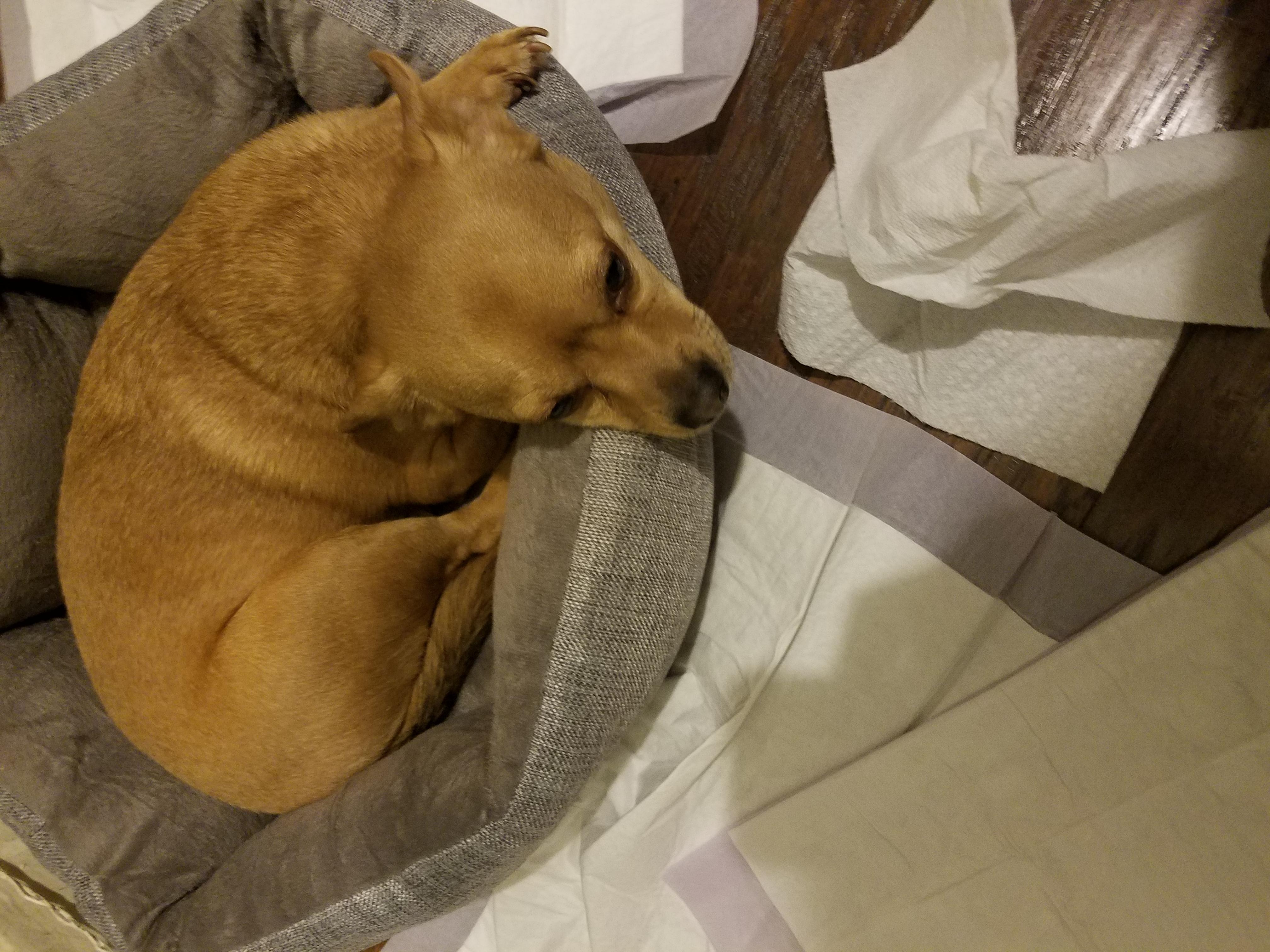 Question details sensitive content