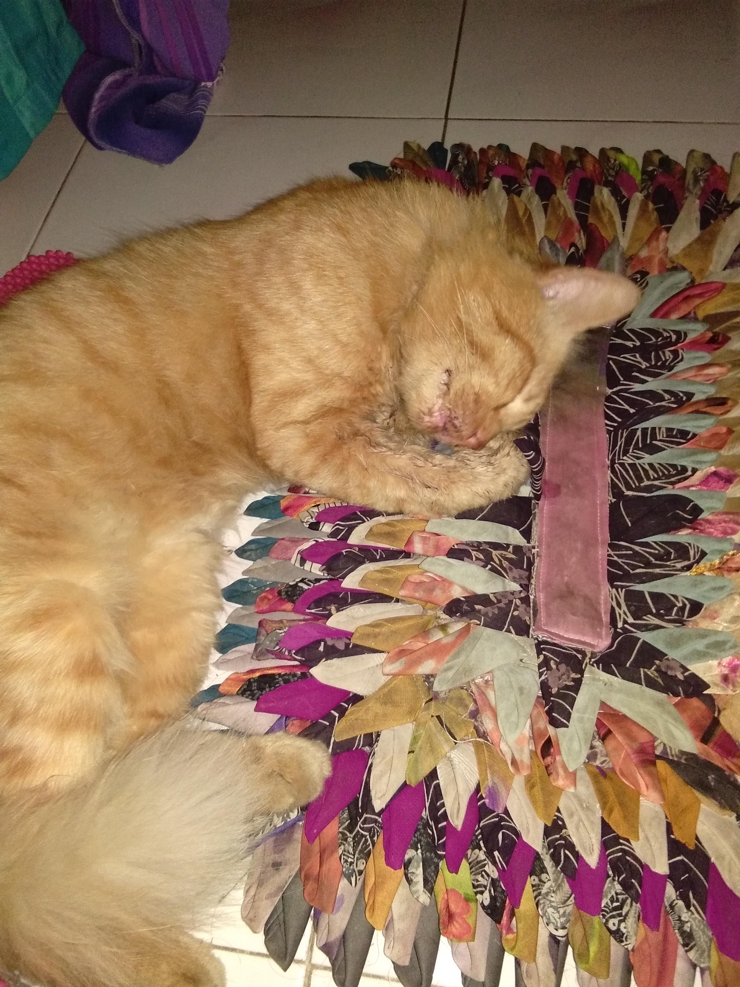 Question details sensitive content