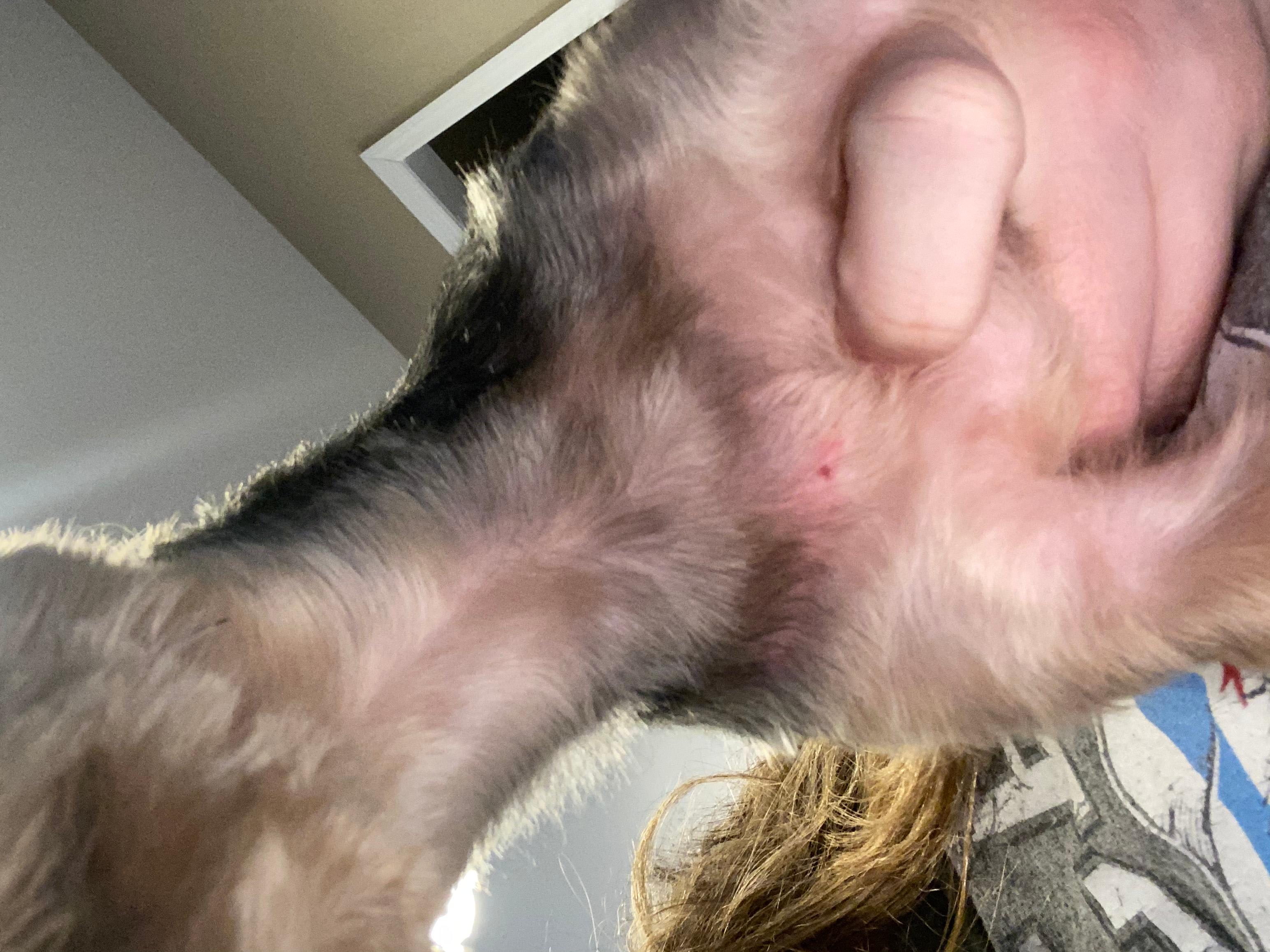 Question details sensitive content