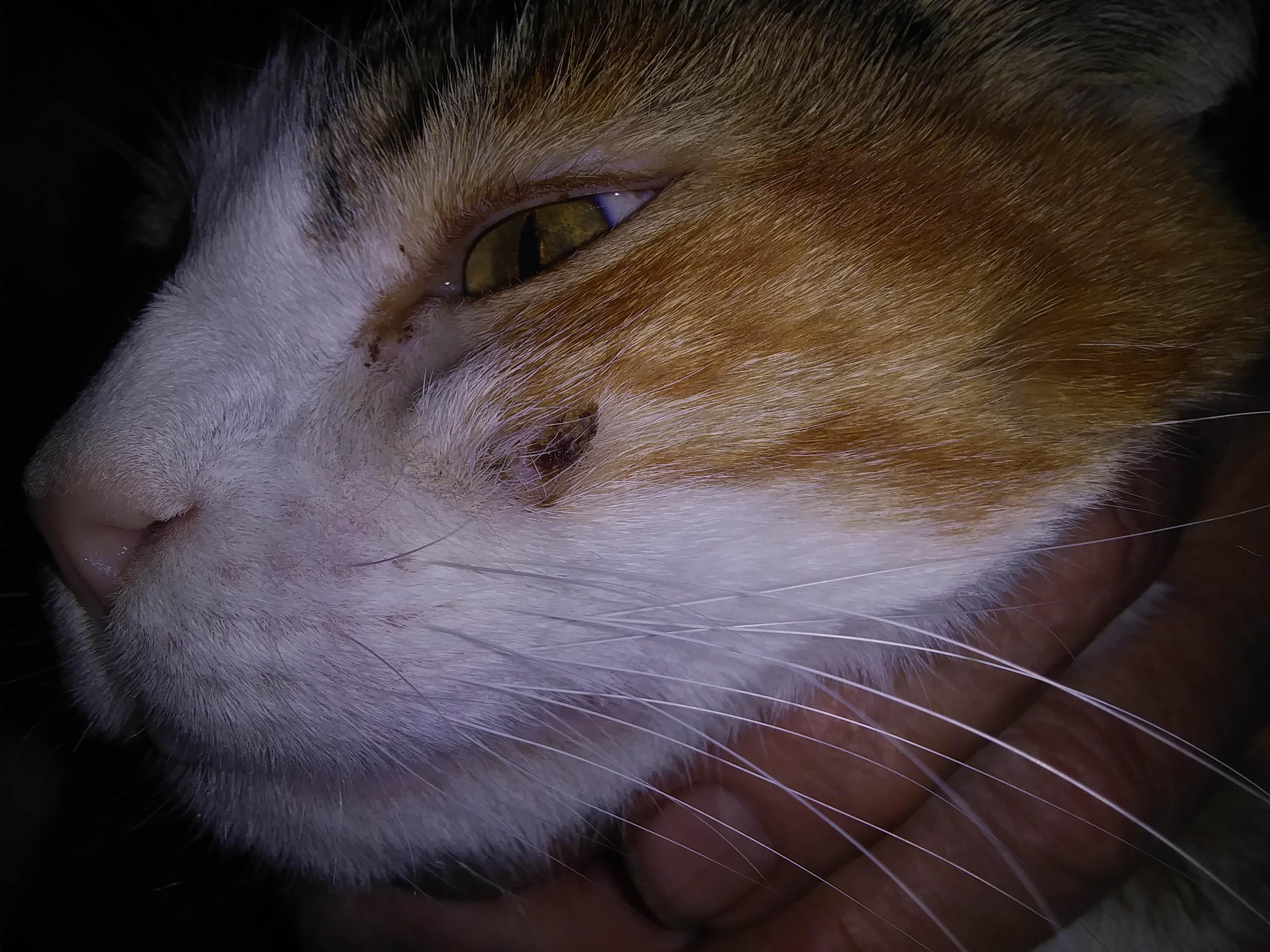 Question details sensitive content