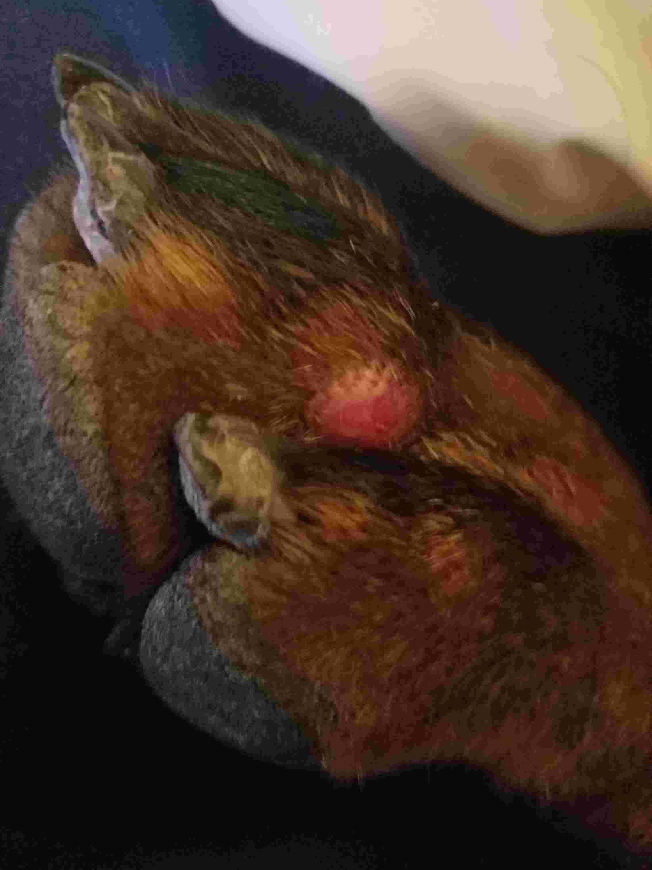 Question details sensitive content