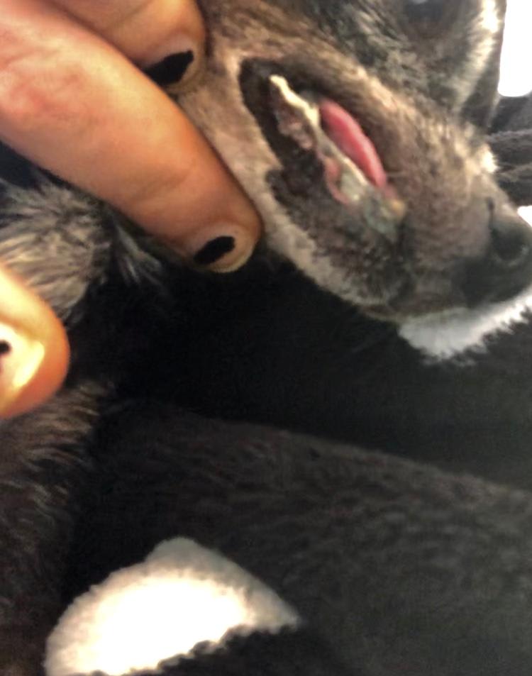 Question details sensitive content