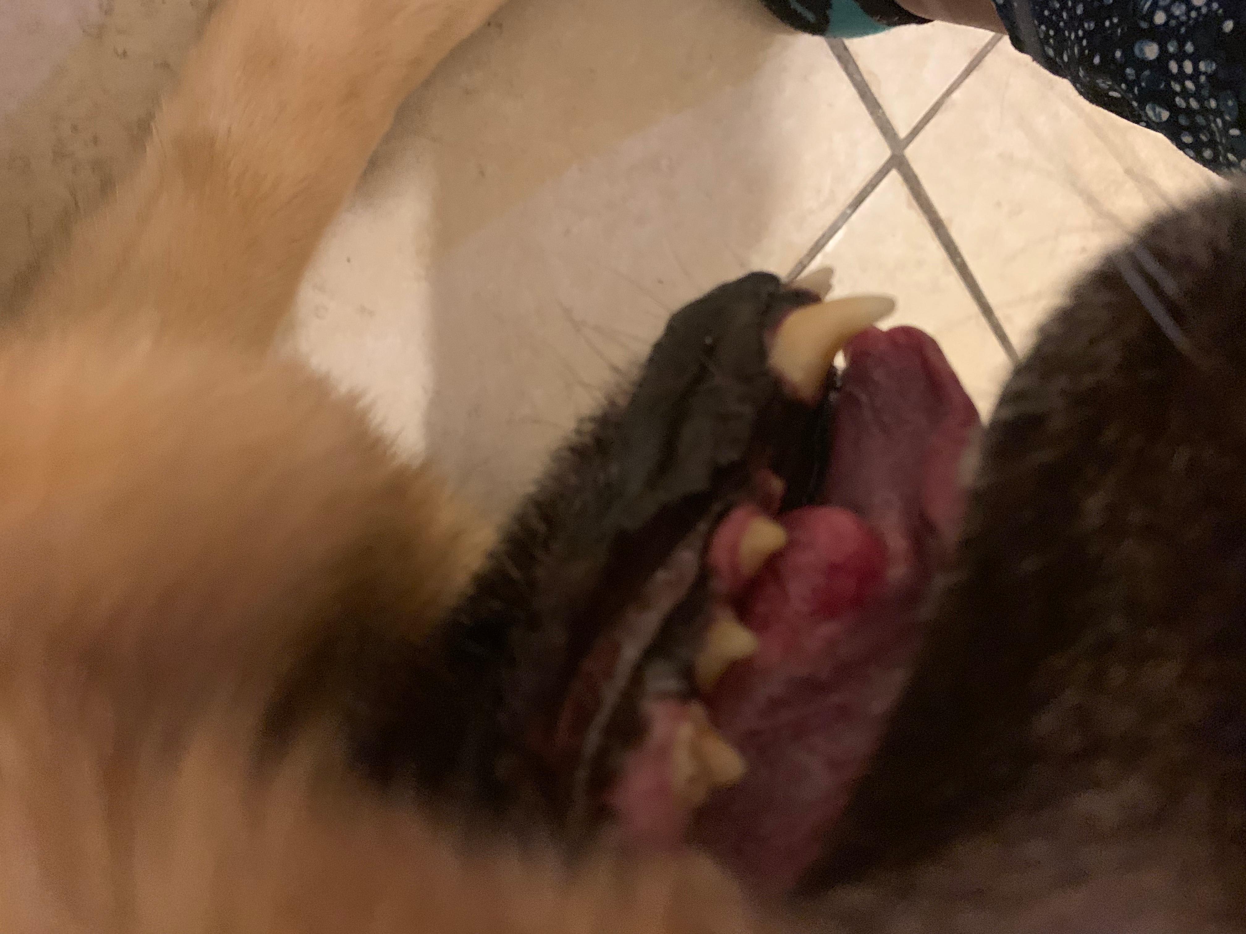 Question details sensitive content