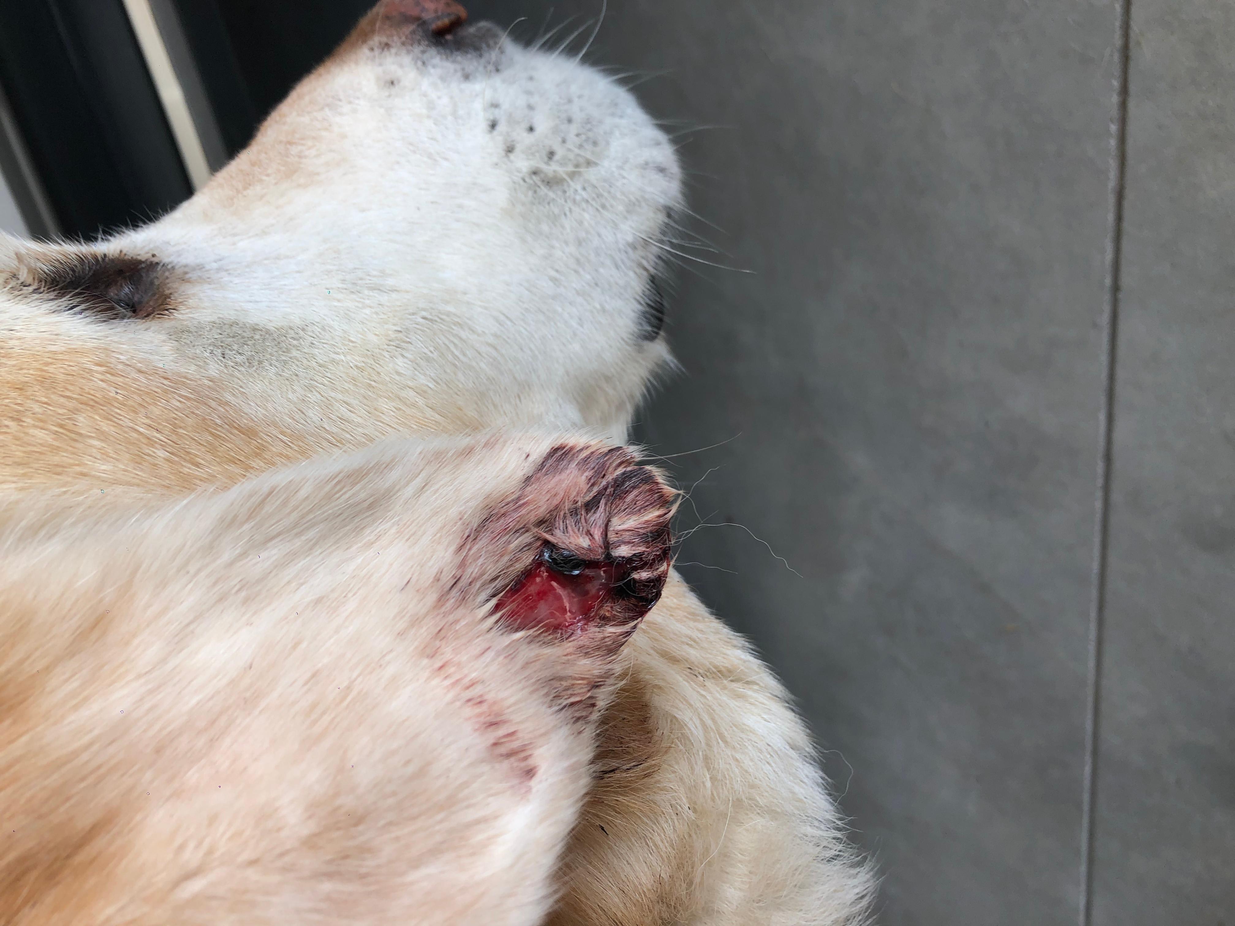 Question details sensitive content