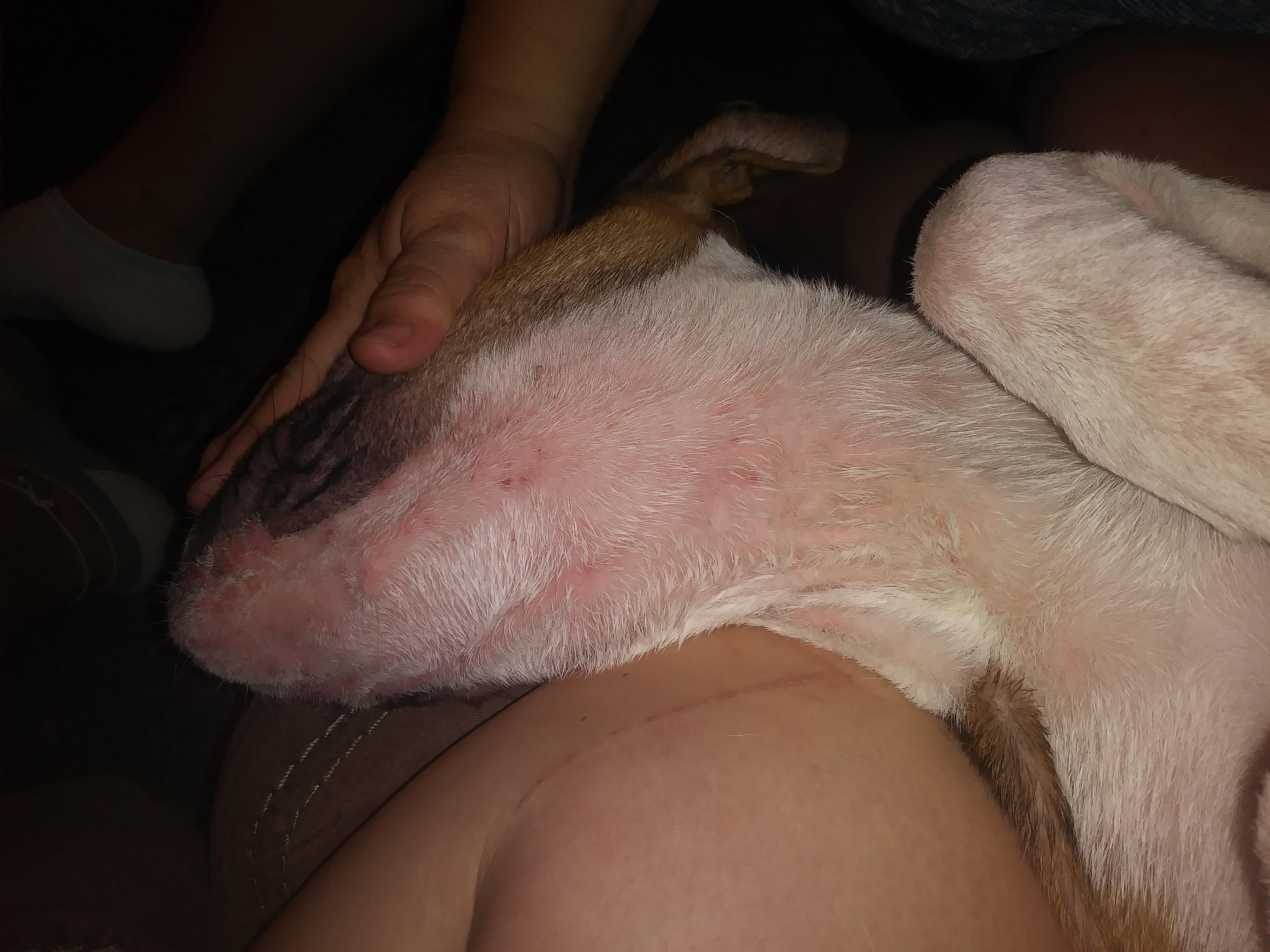 Question details sensitive content