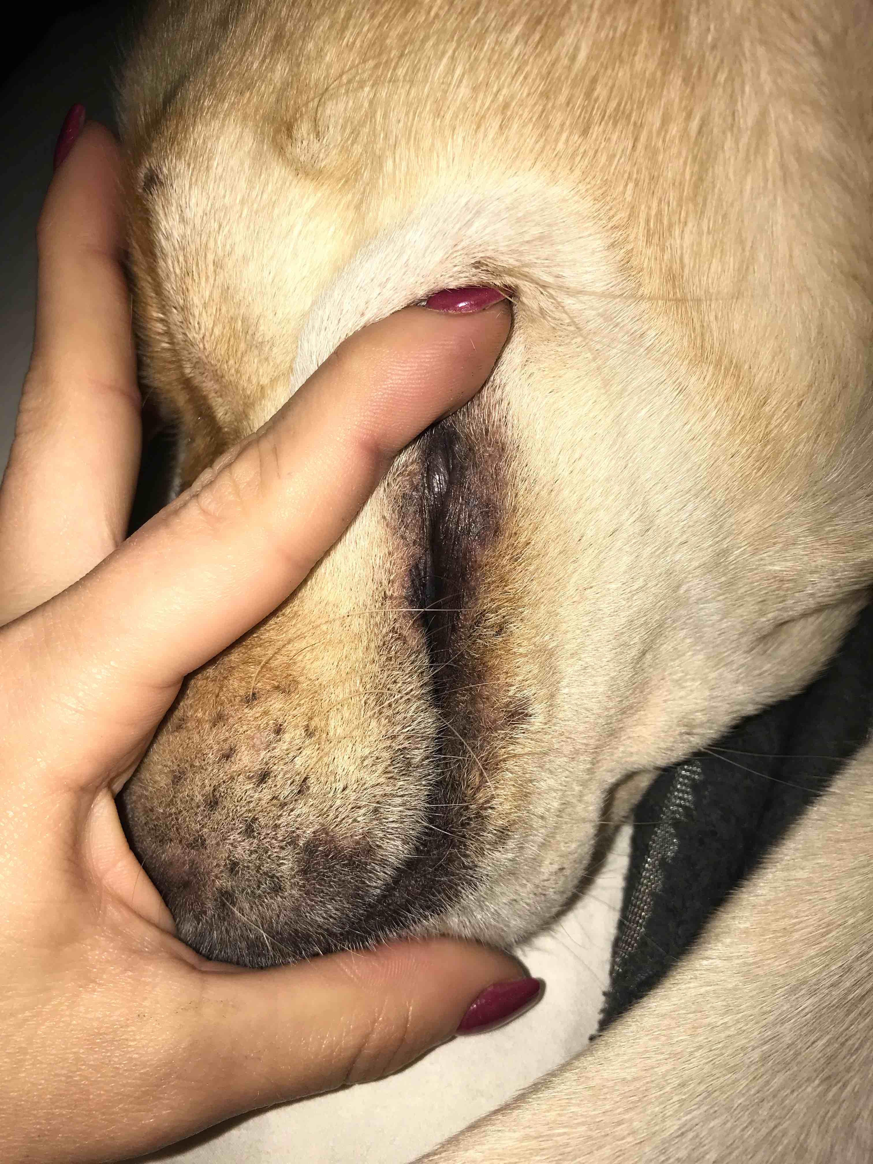 Question details sensitive content