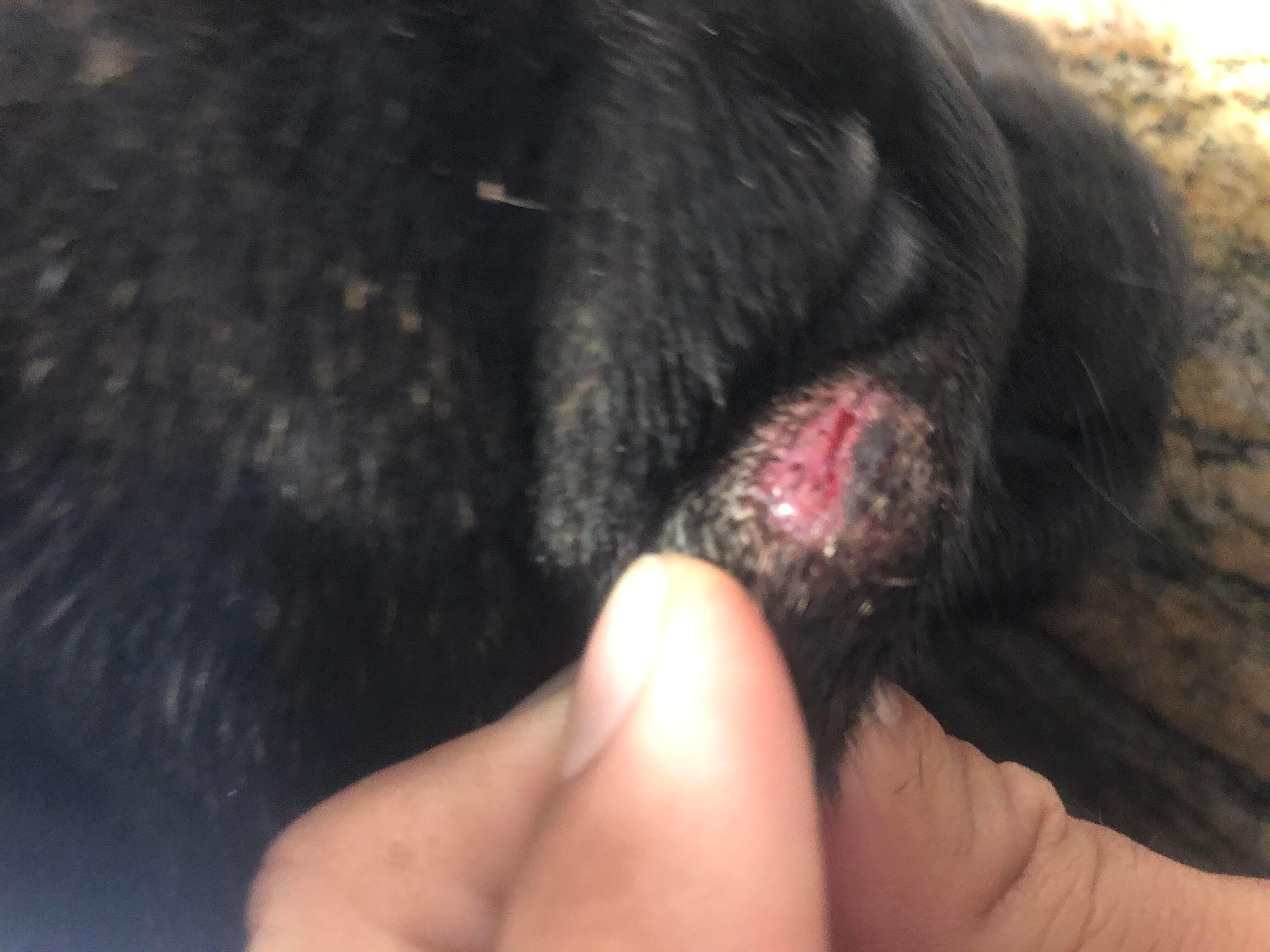 Question details sensitive content