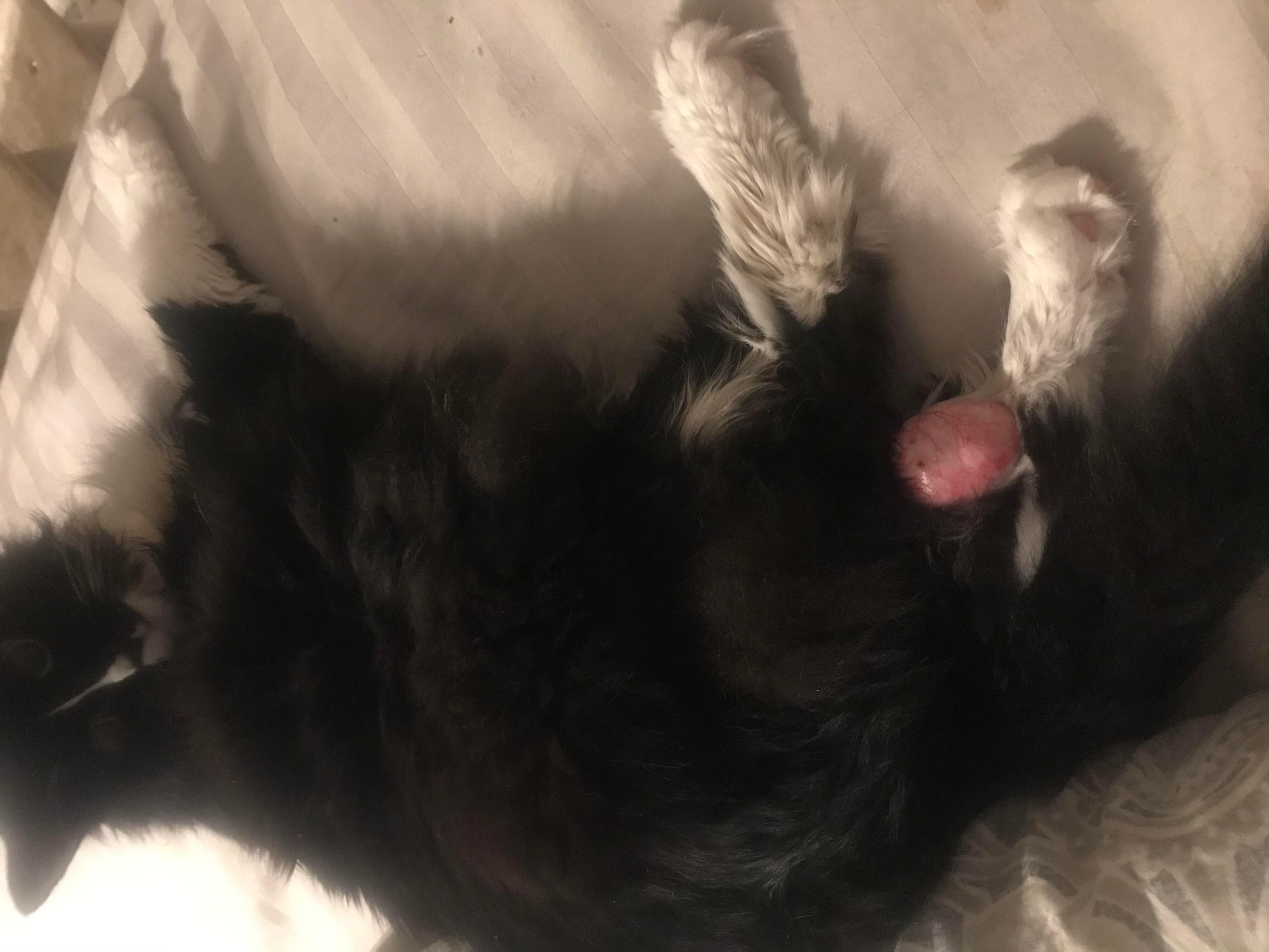 Question details sensitive content