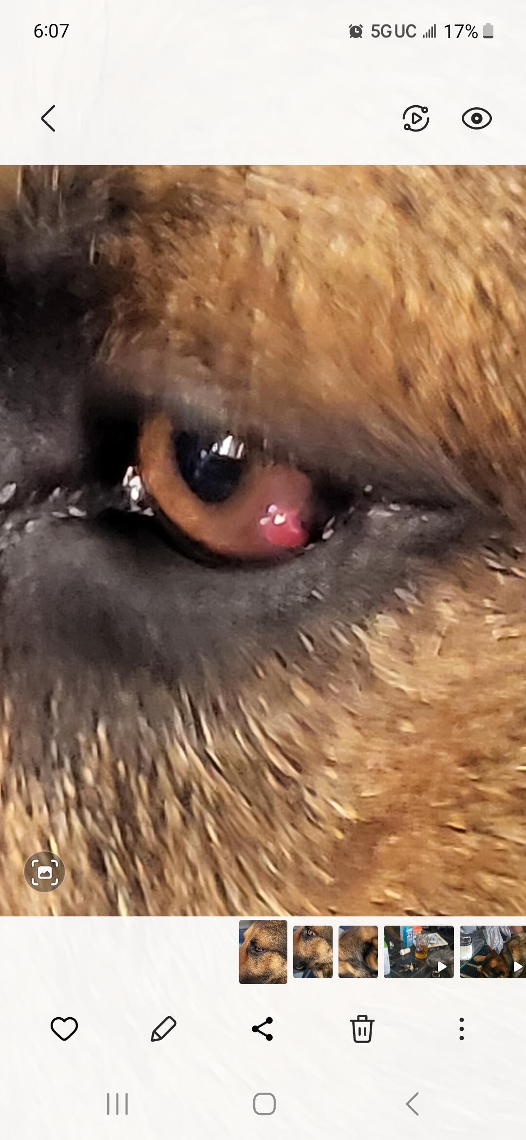 Question details sensitive content