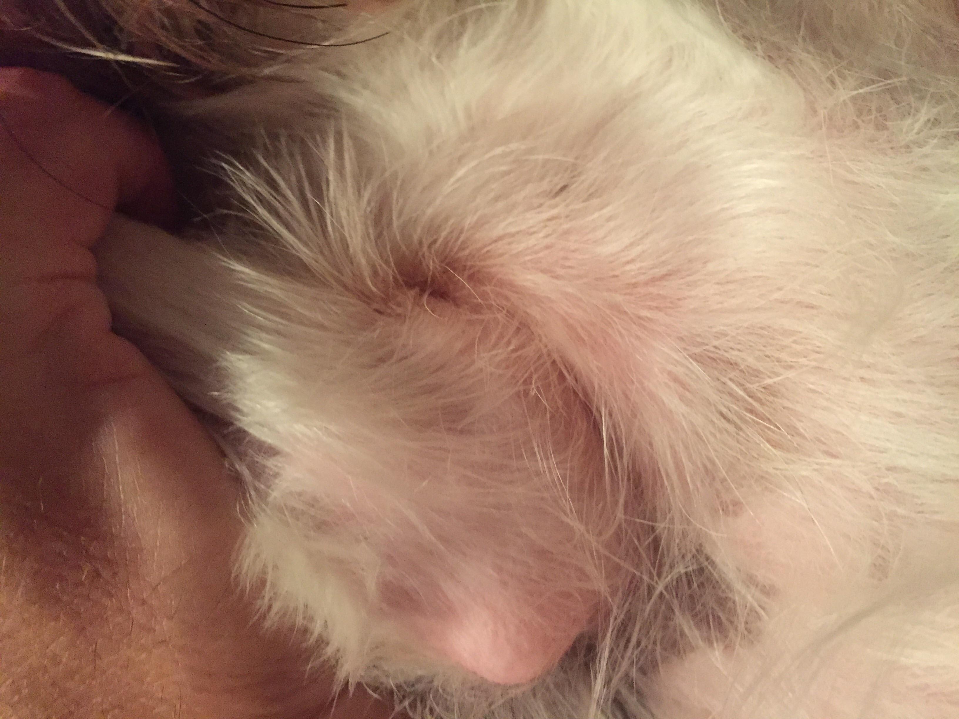 Question details sensitive content