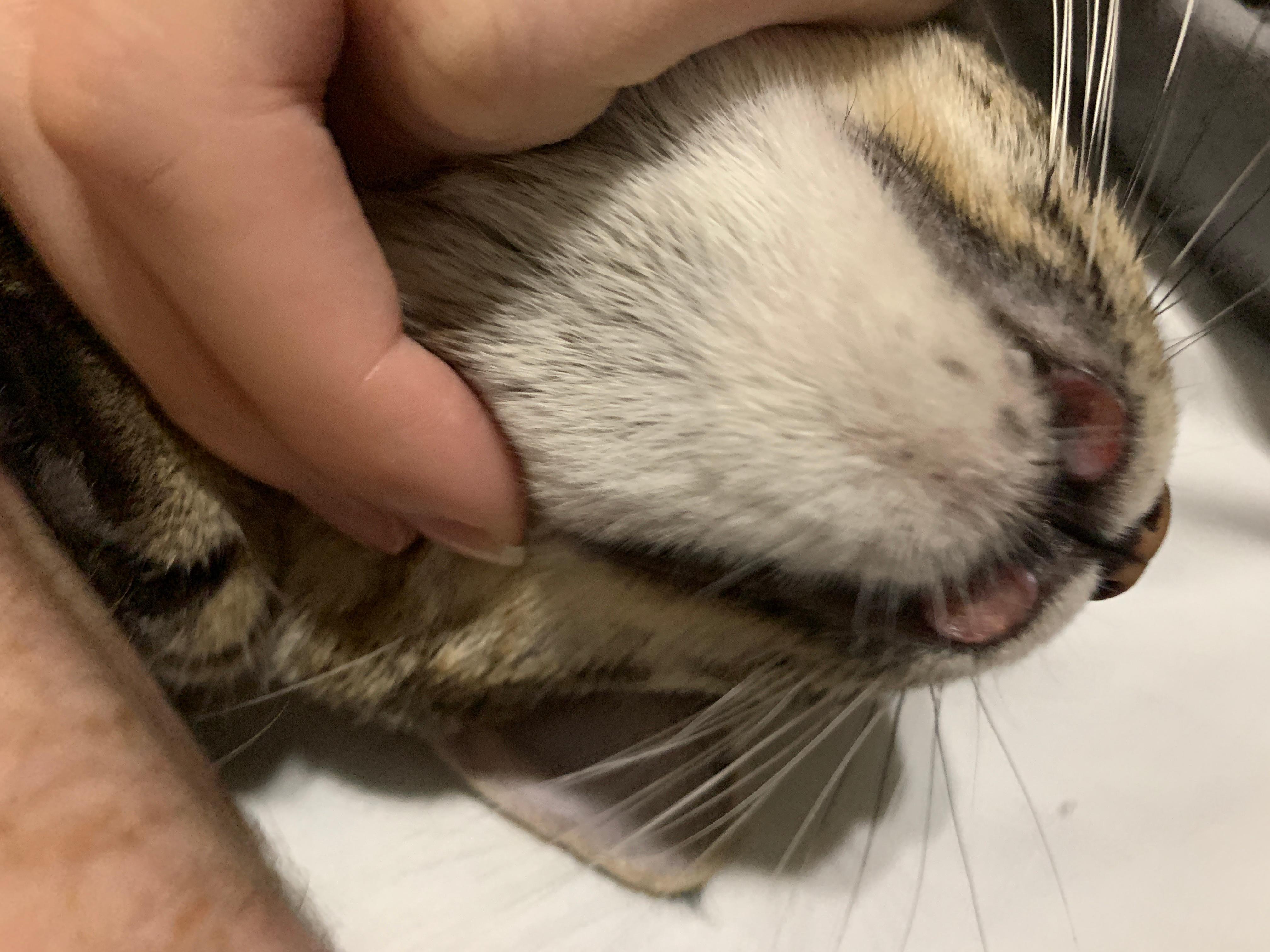 Question details sensitive content