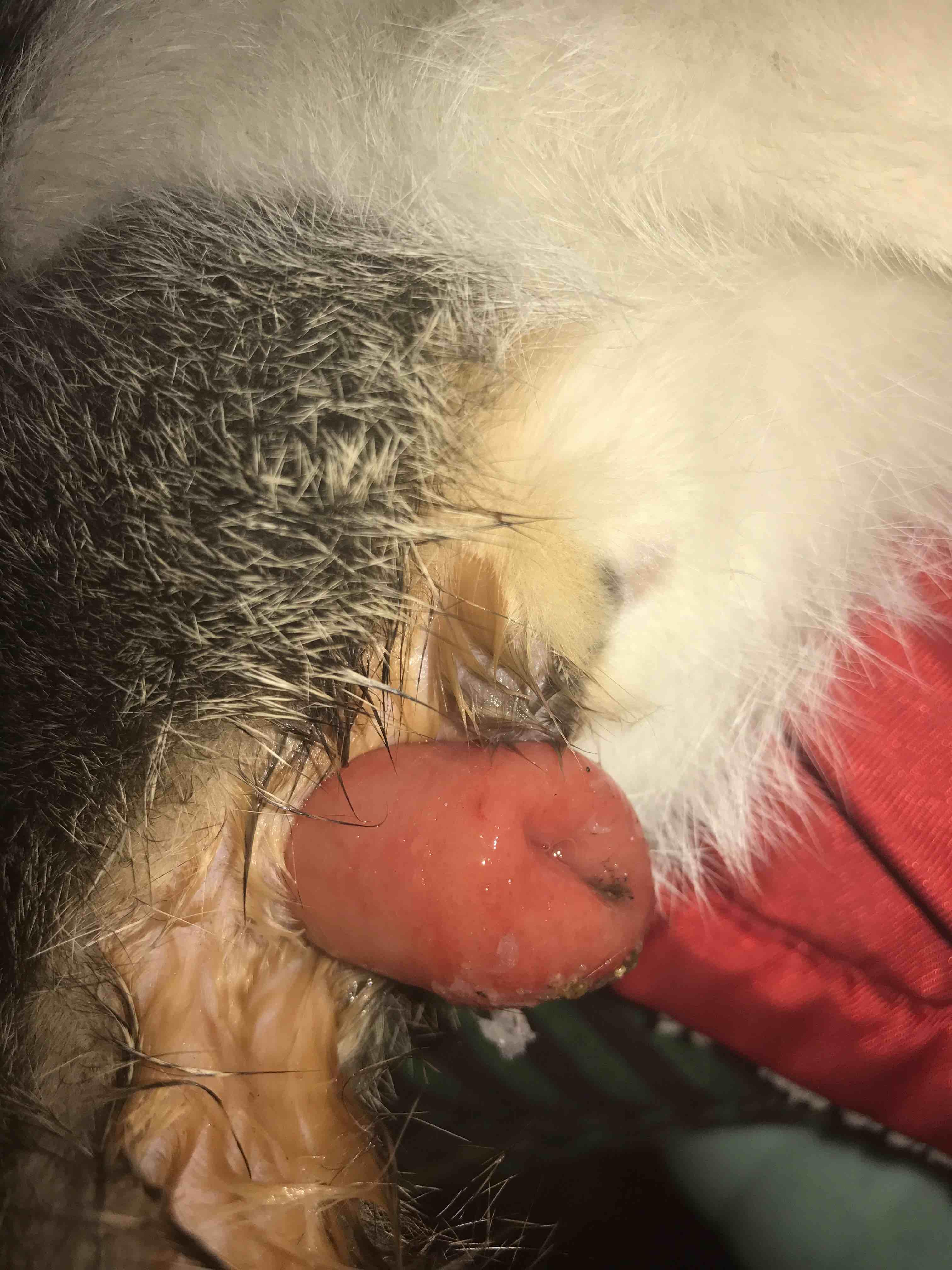 Question details sensitive content