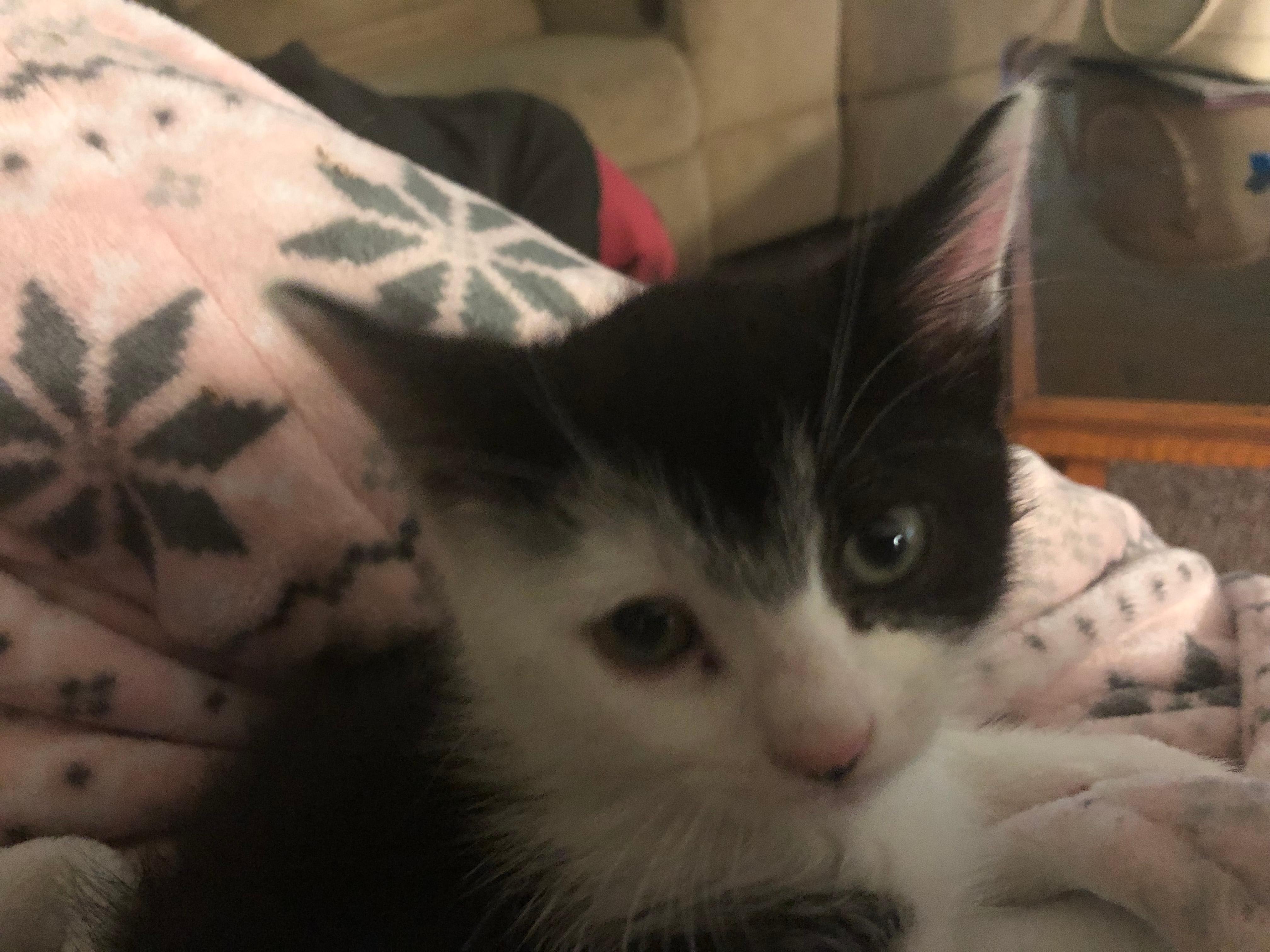 Question details sensitive content