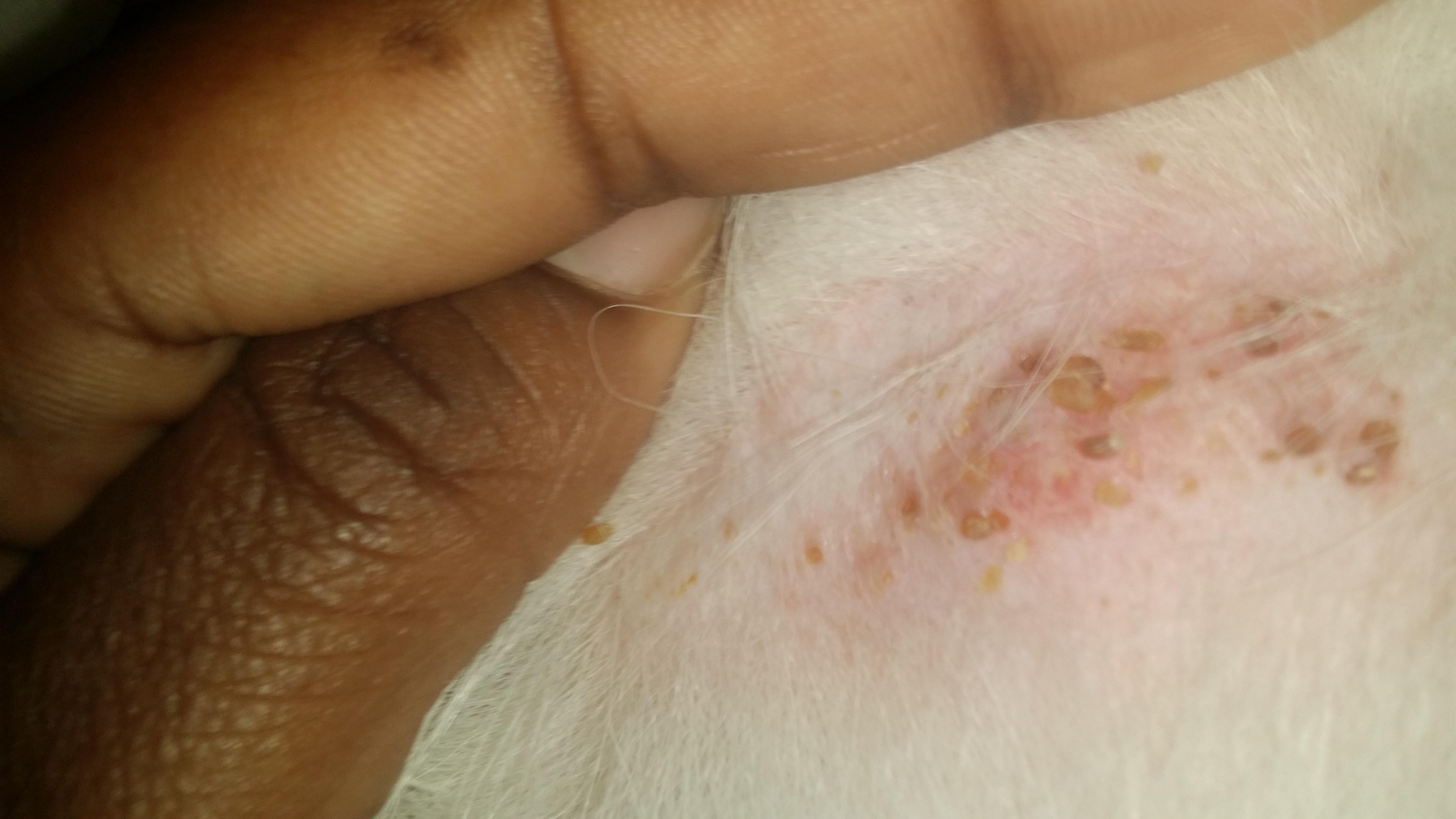 Question details sensitive content