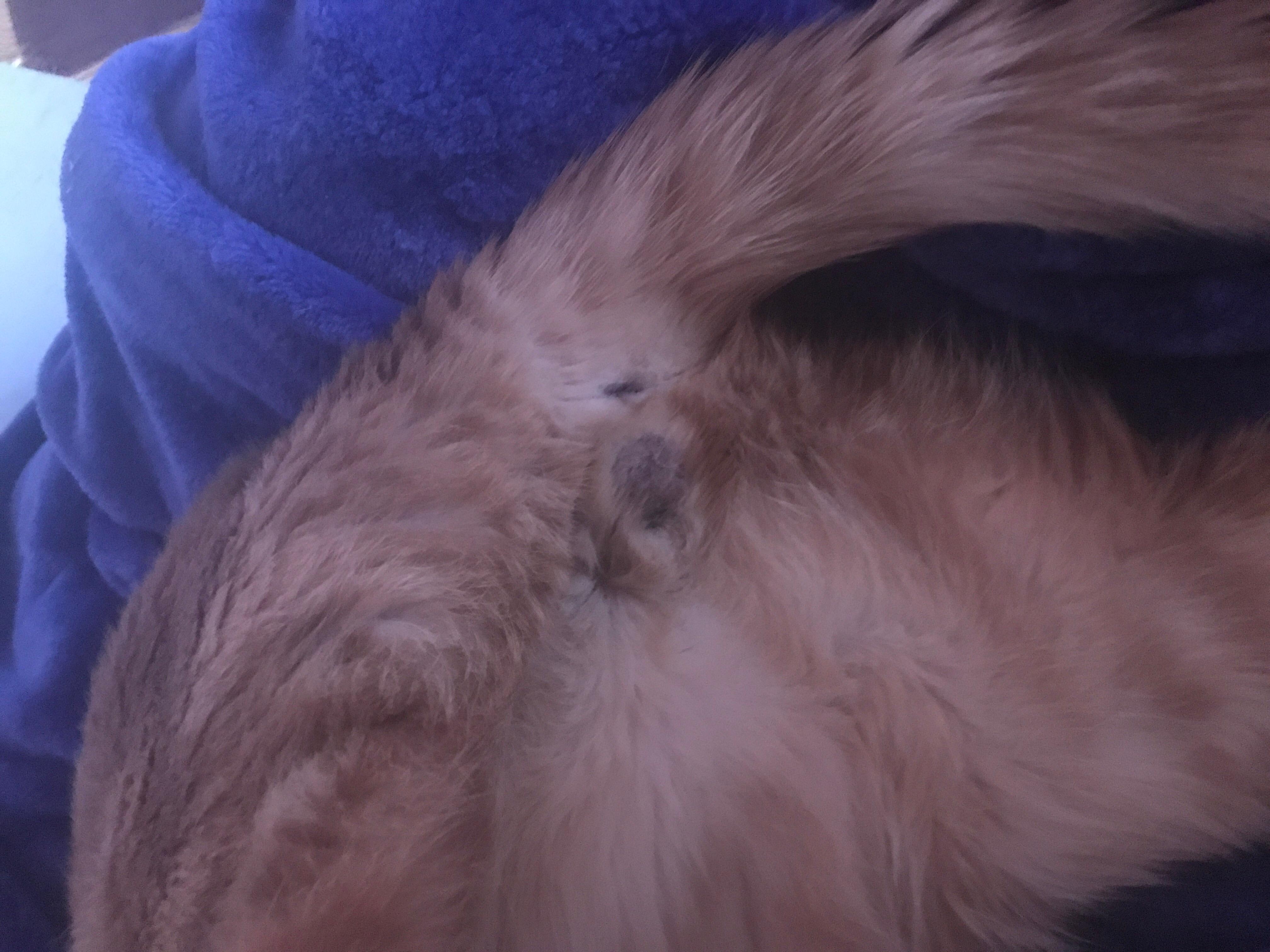 Question details sensitive content