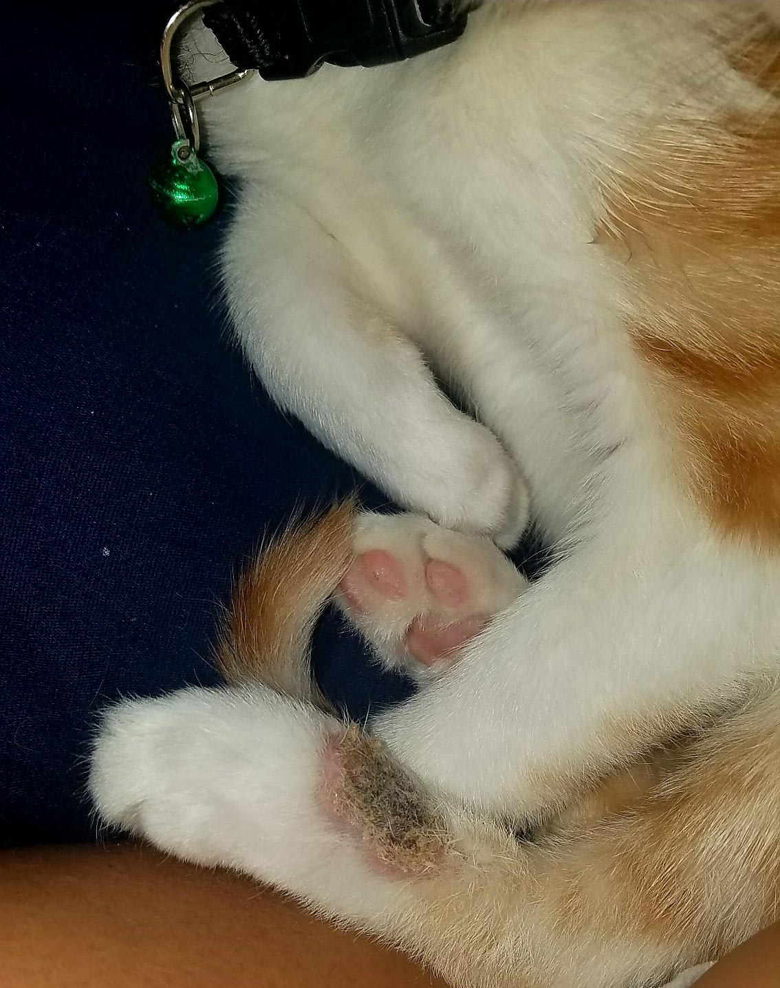 Question details sensitive content