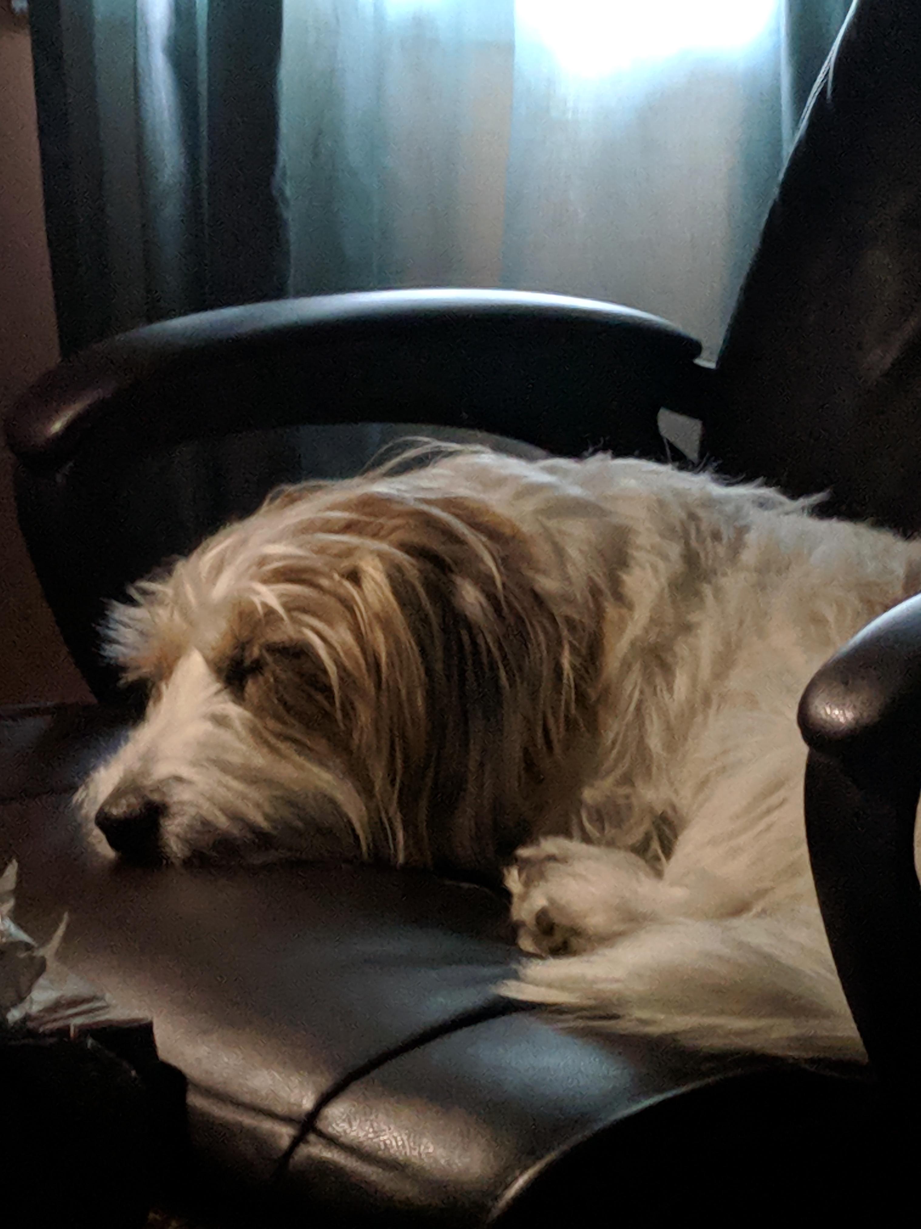 Question details sensitive content