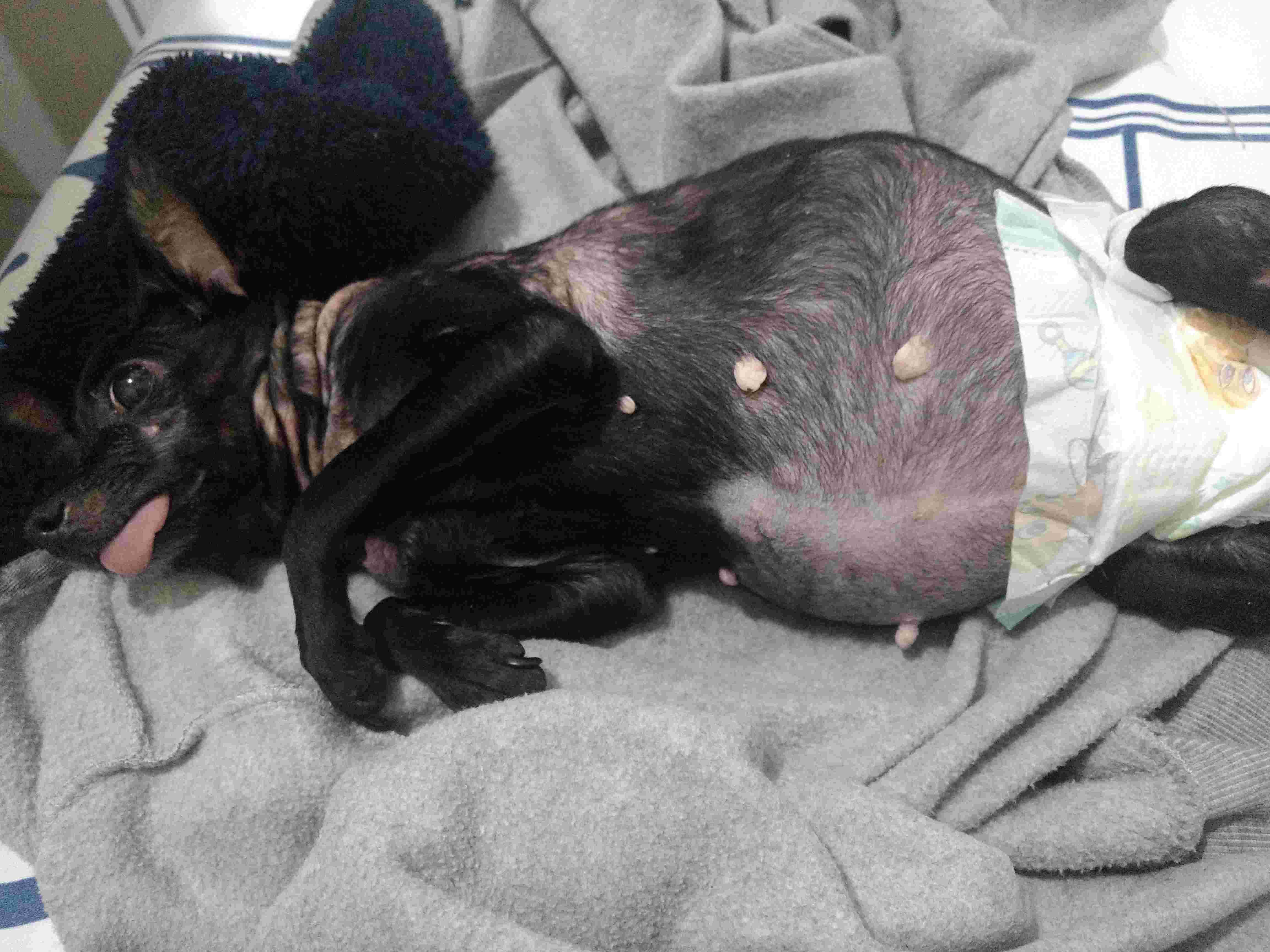 Question details sensitive content