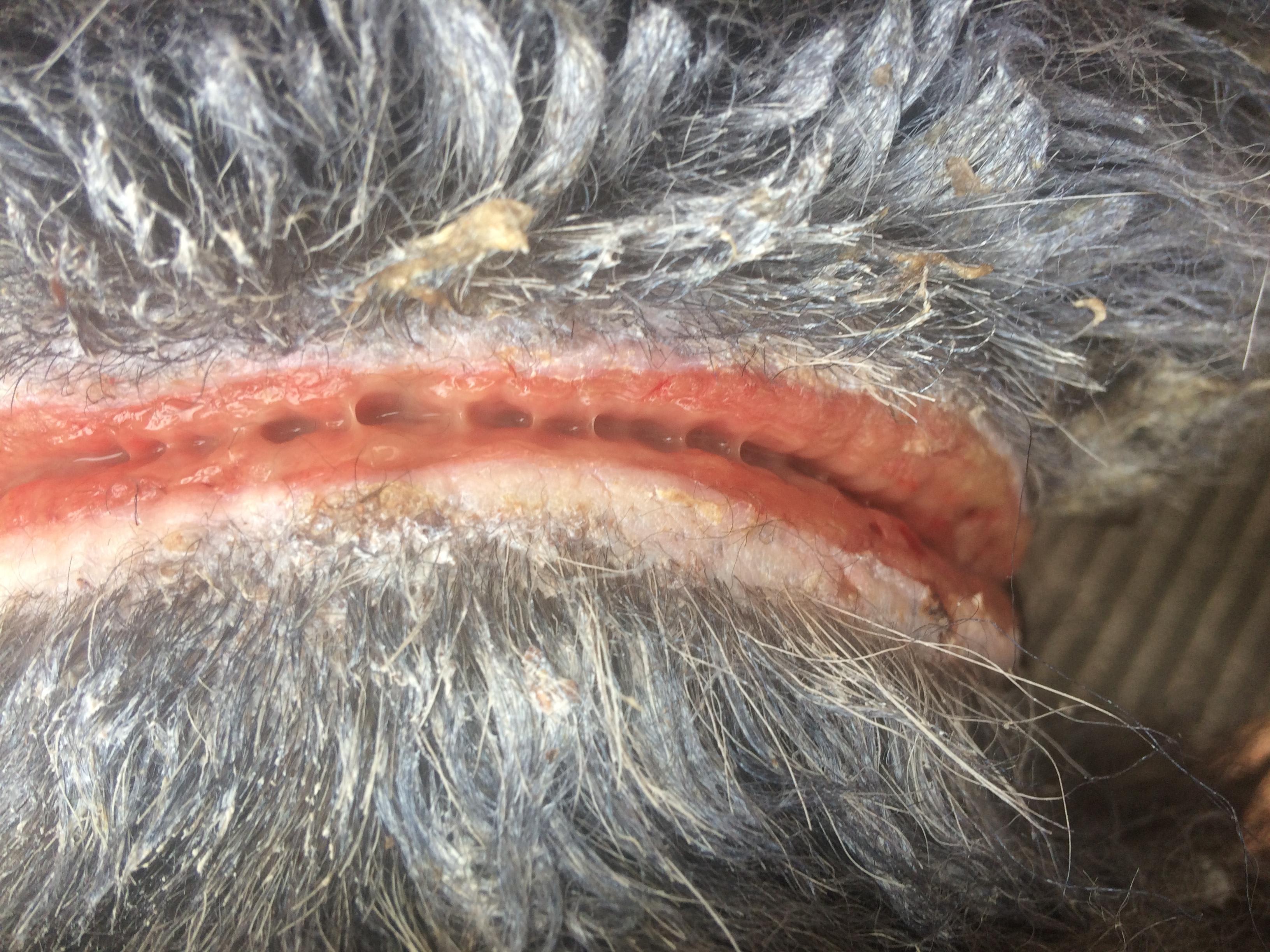 Question details sensitive content