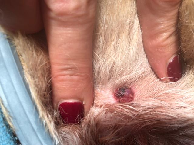 Question details sensitive content