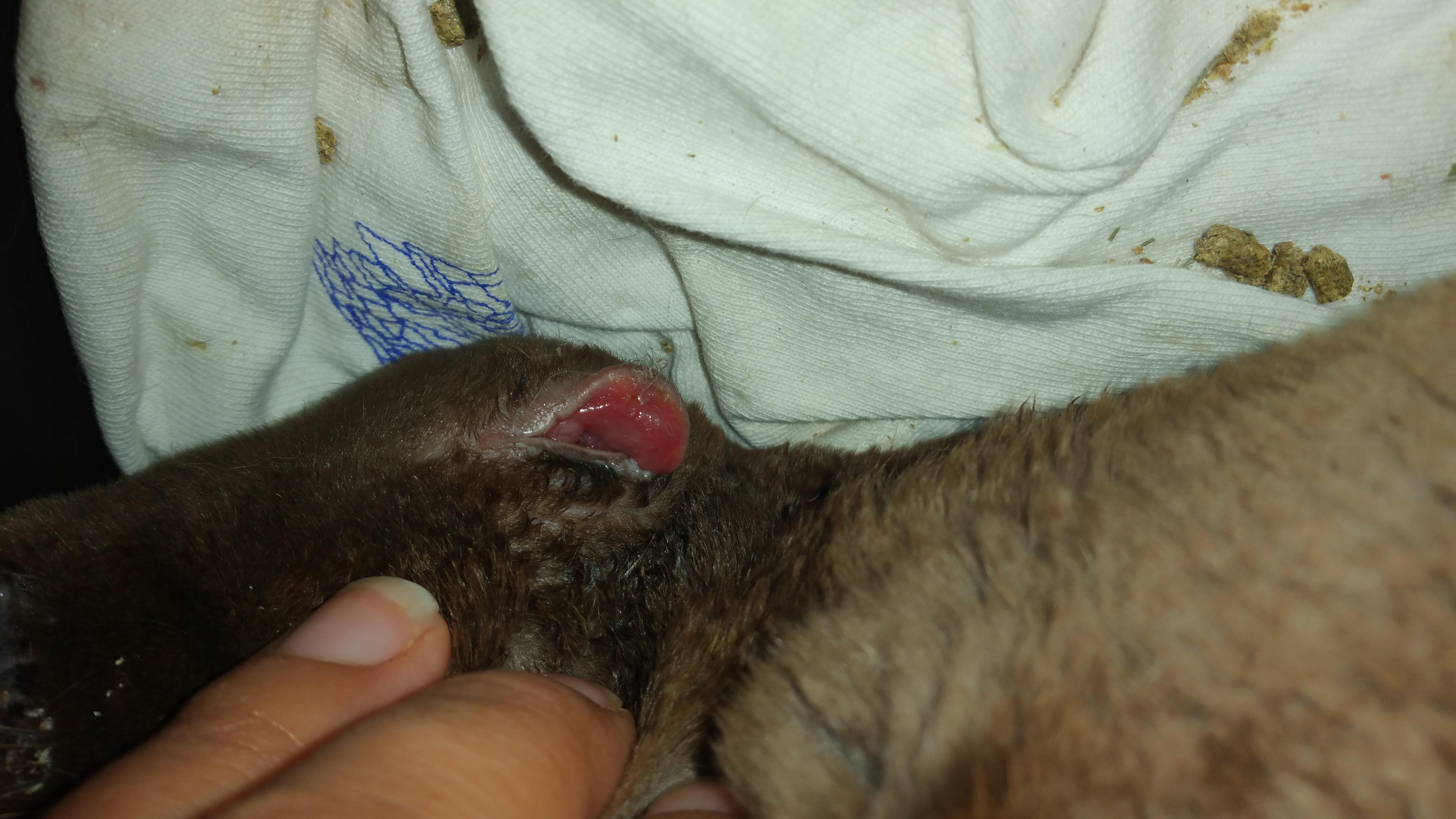 Question details sensitive content