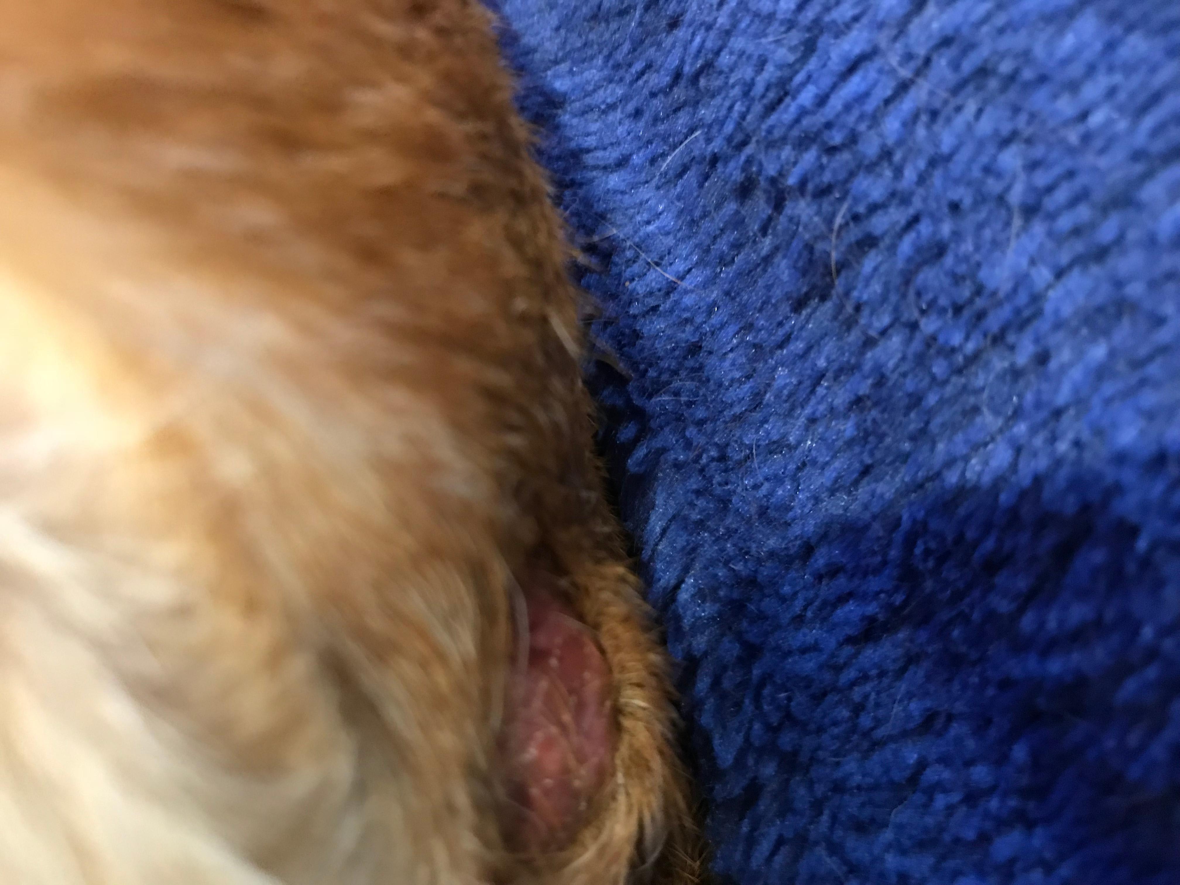 Question details sensitive content