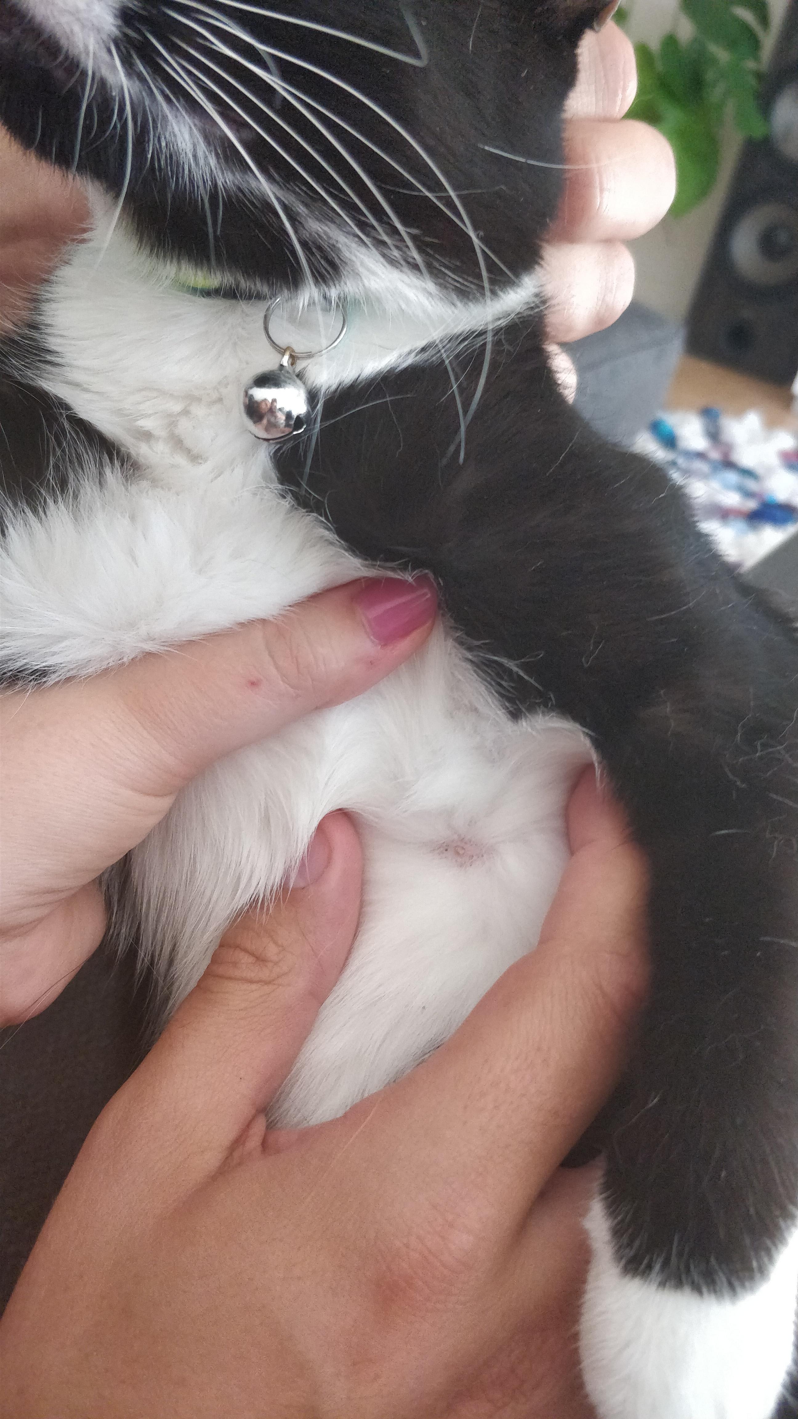 Question details sensitive content