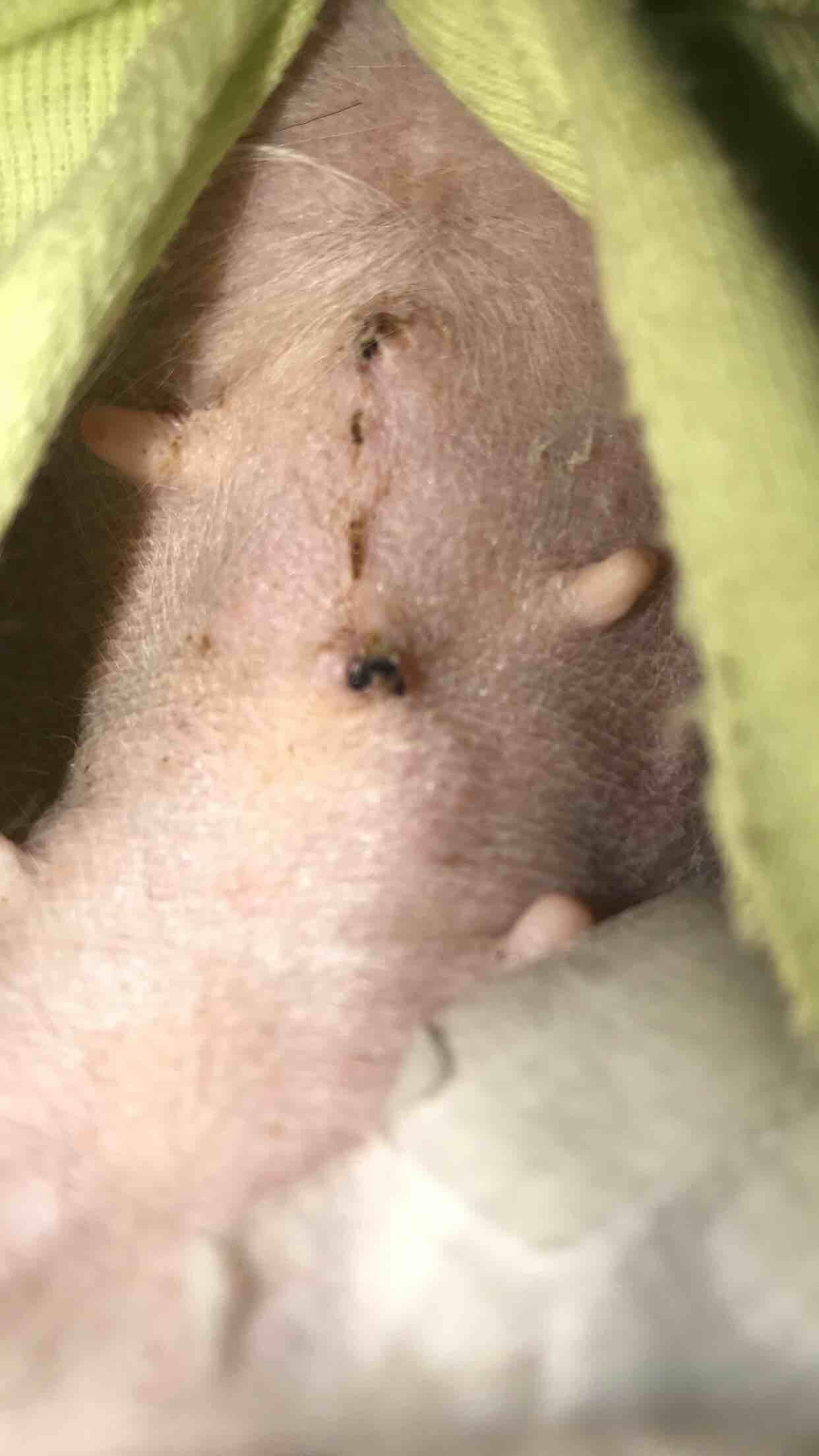 Question details sensitive content