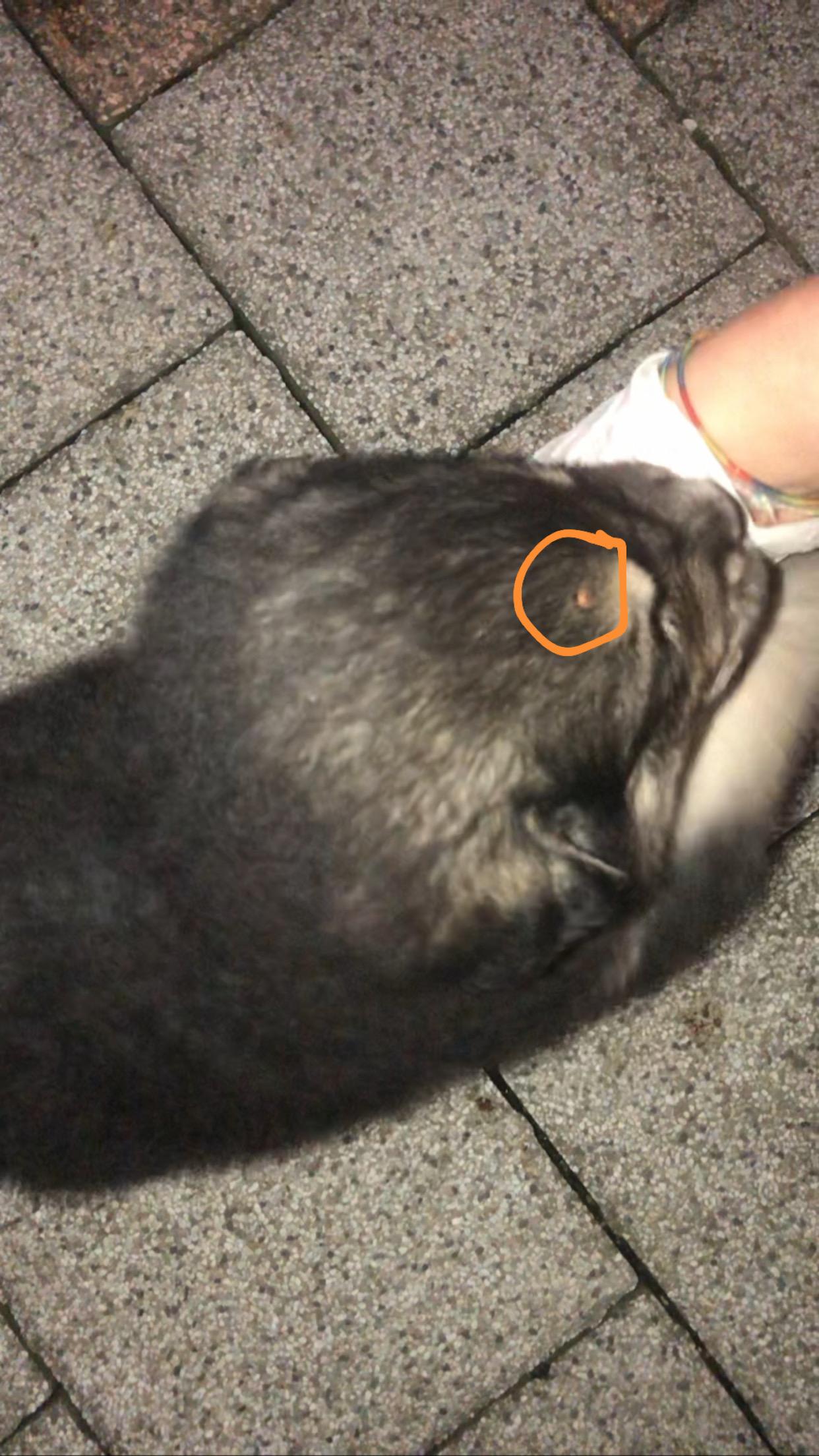 Question details sensitive content