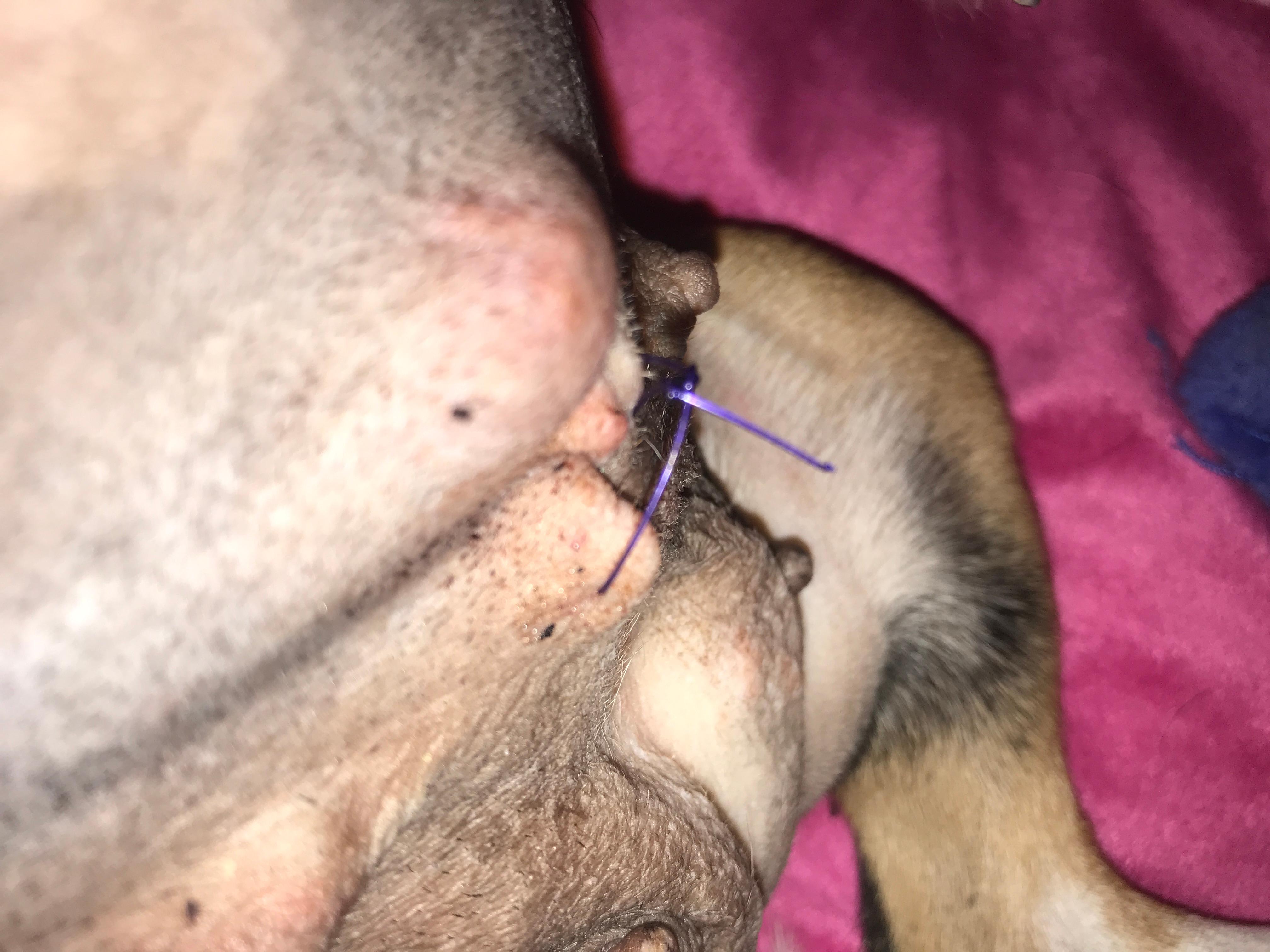 Question details sensitive content