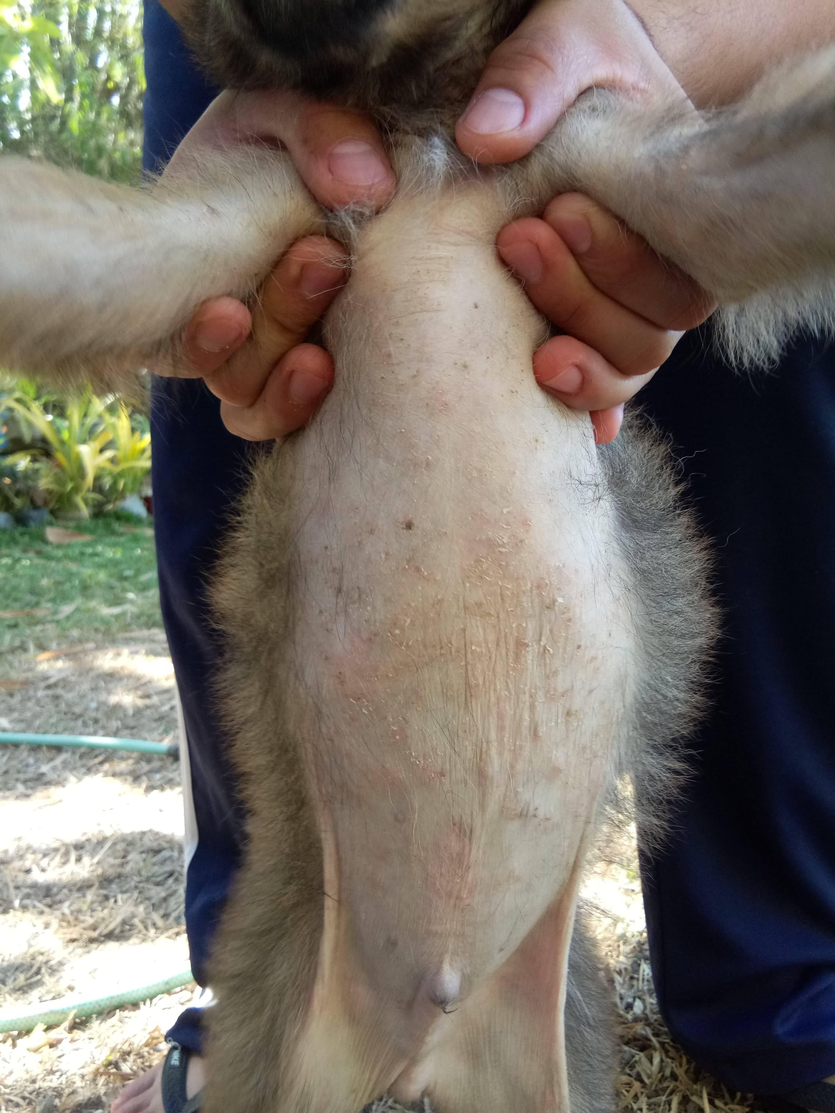 Question details sensitive content