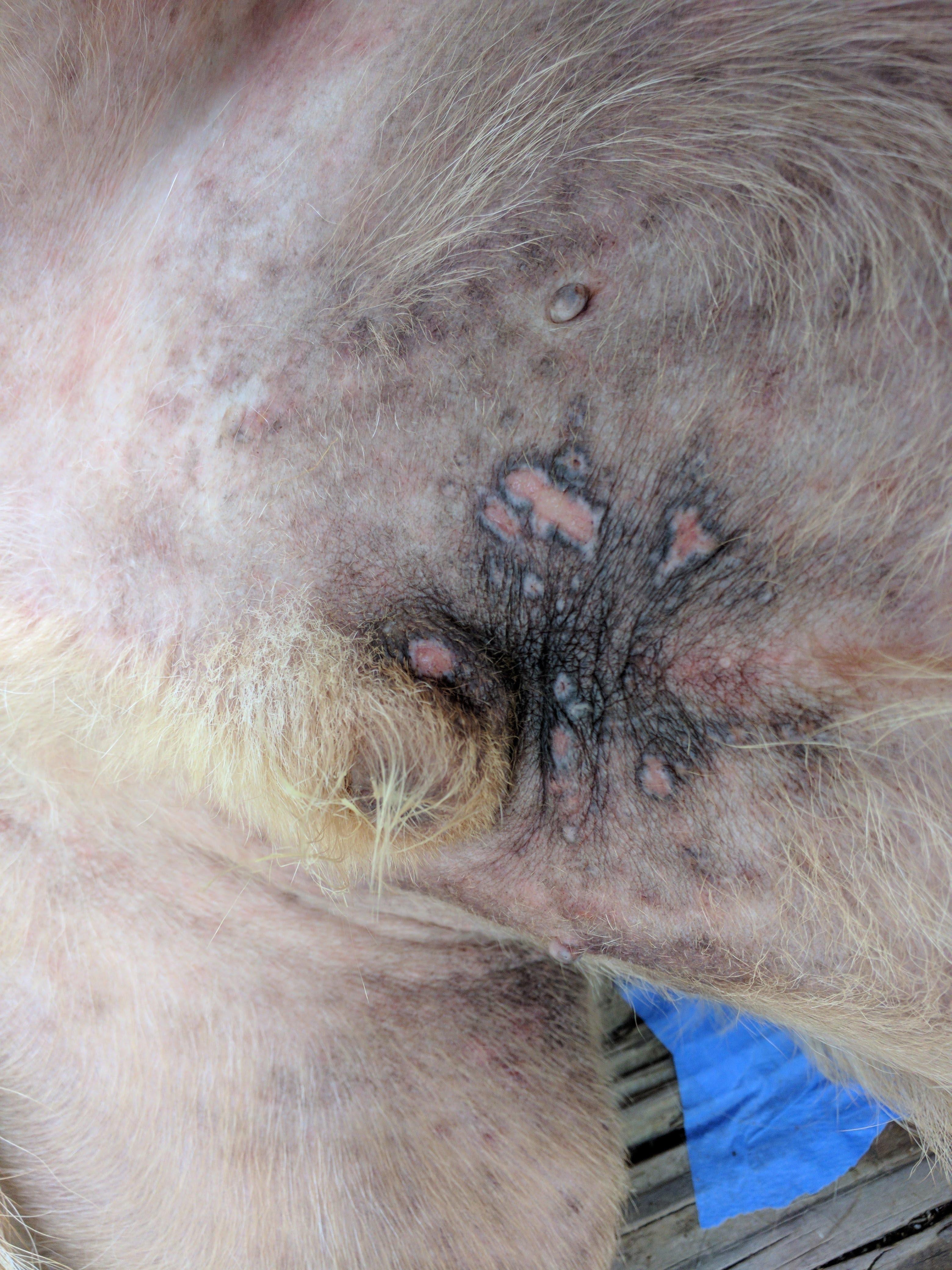 Question details sensitive content