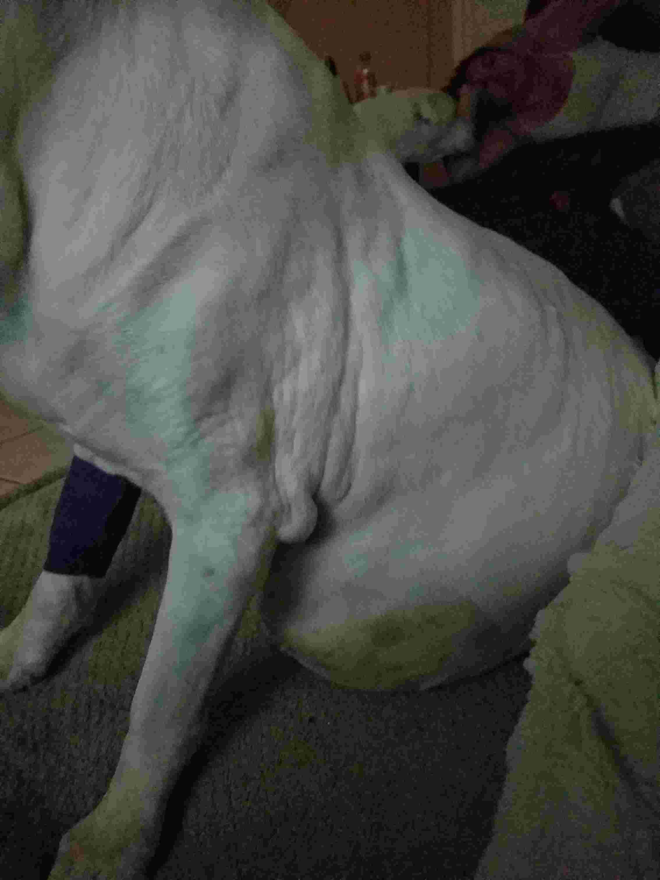 Question details sensitive content