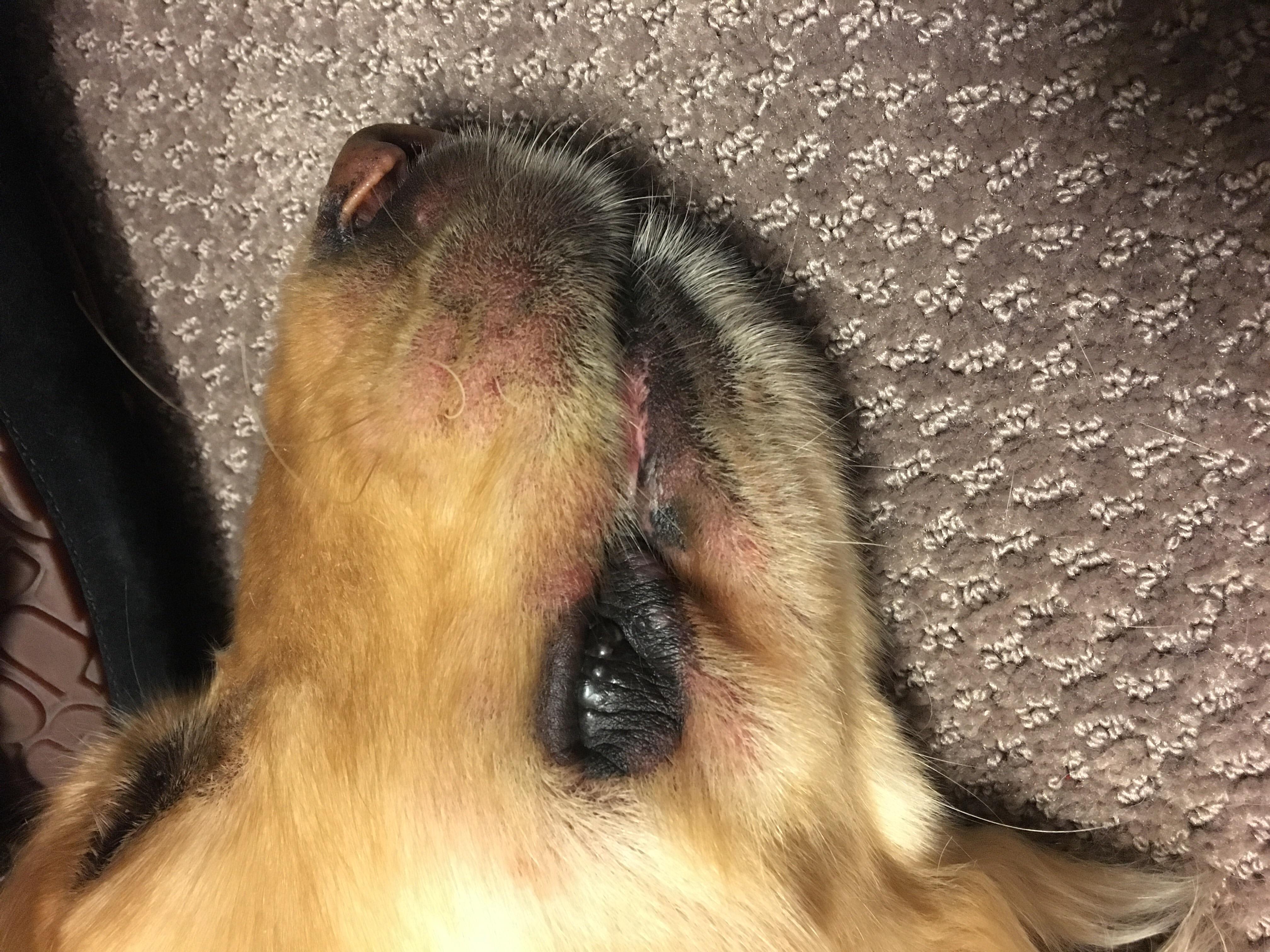 Question details sensitive content