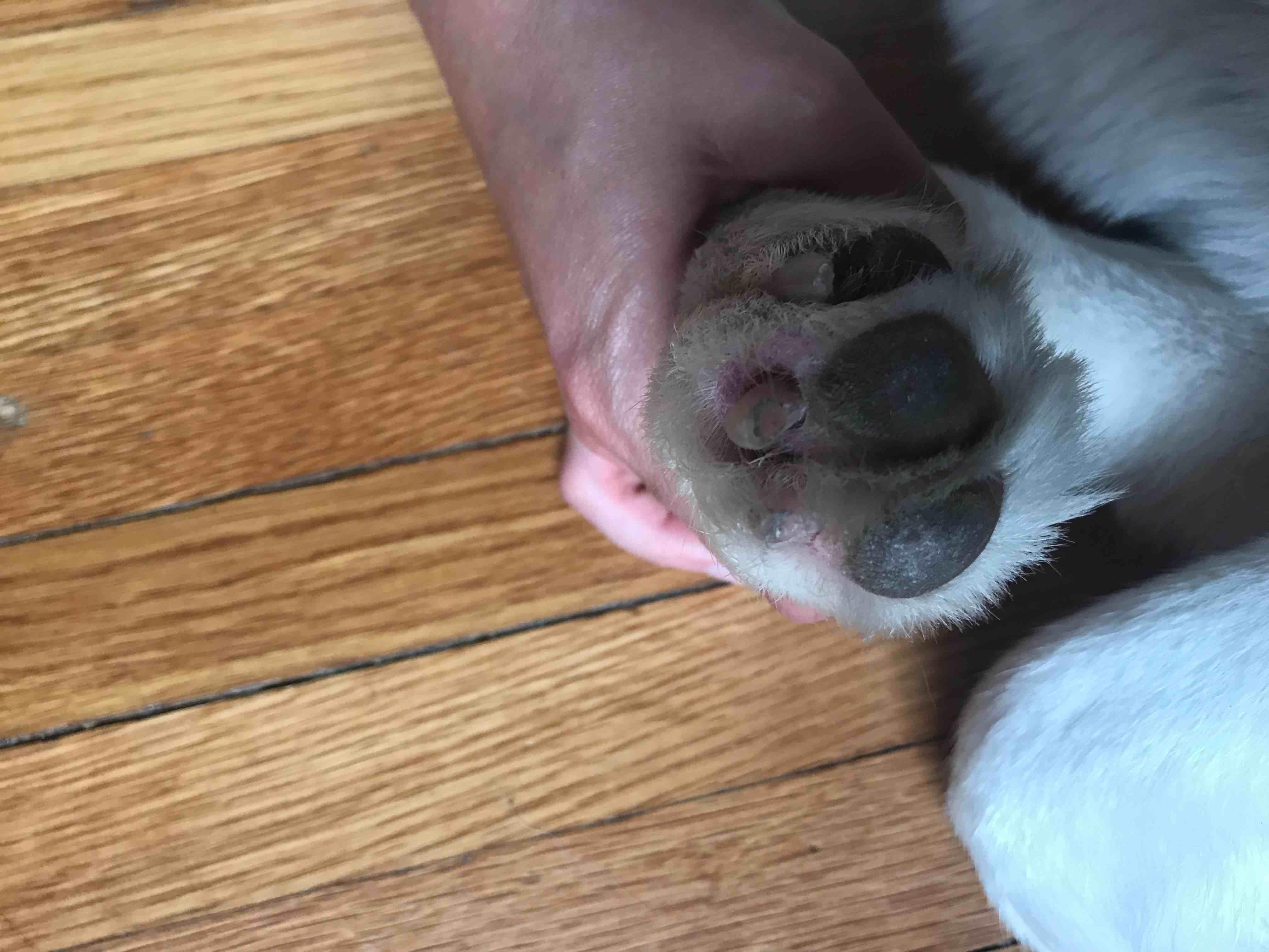 Question details sensitive content