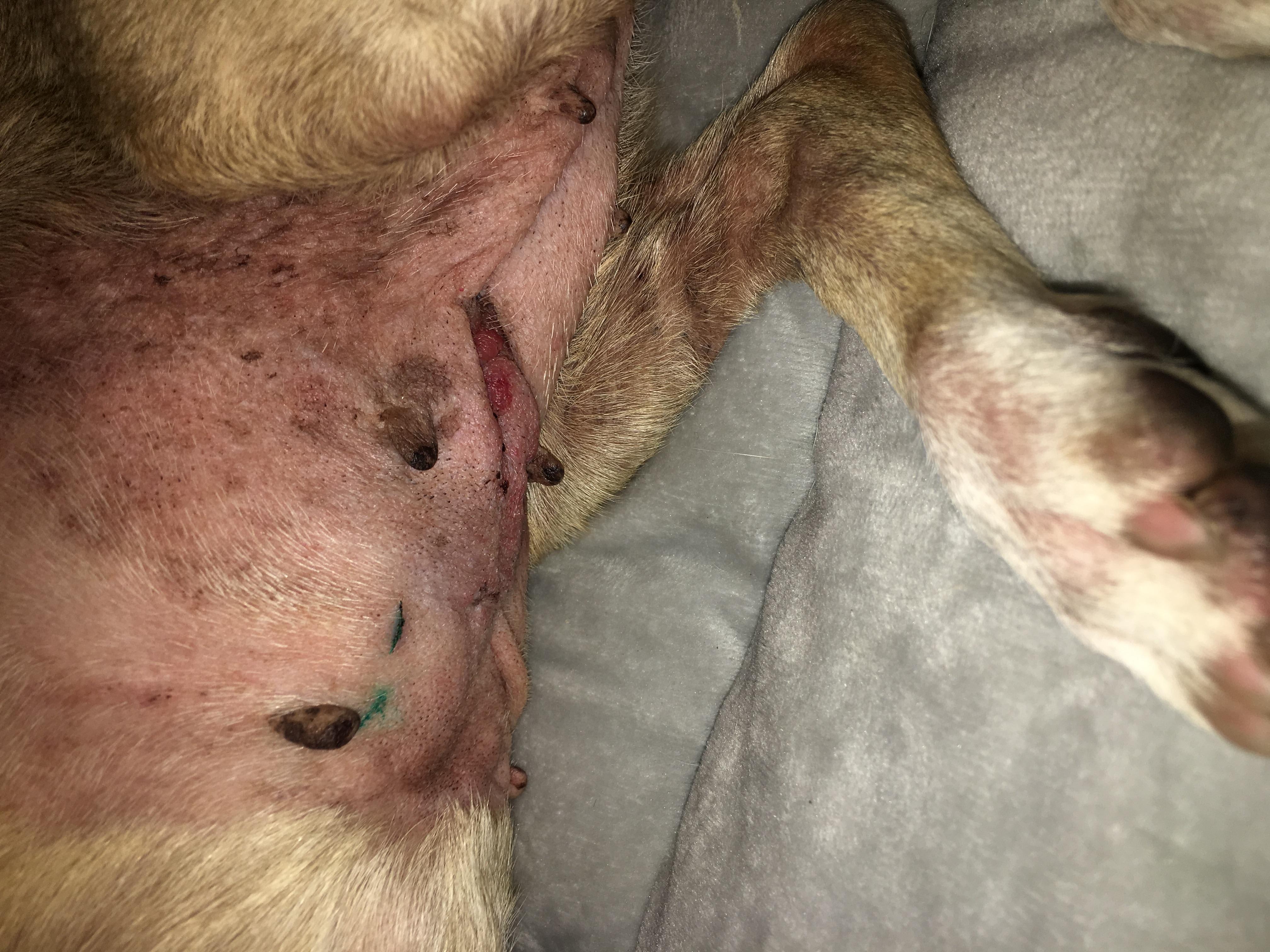 Question details sensitive content