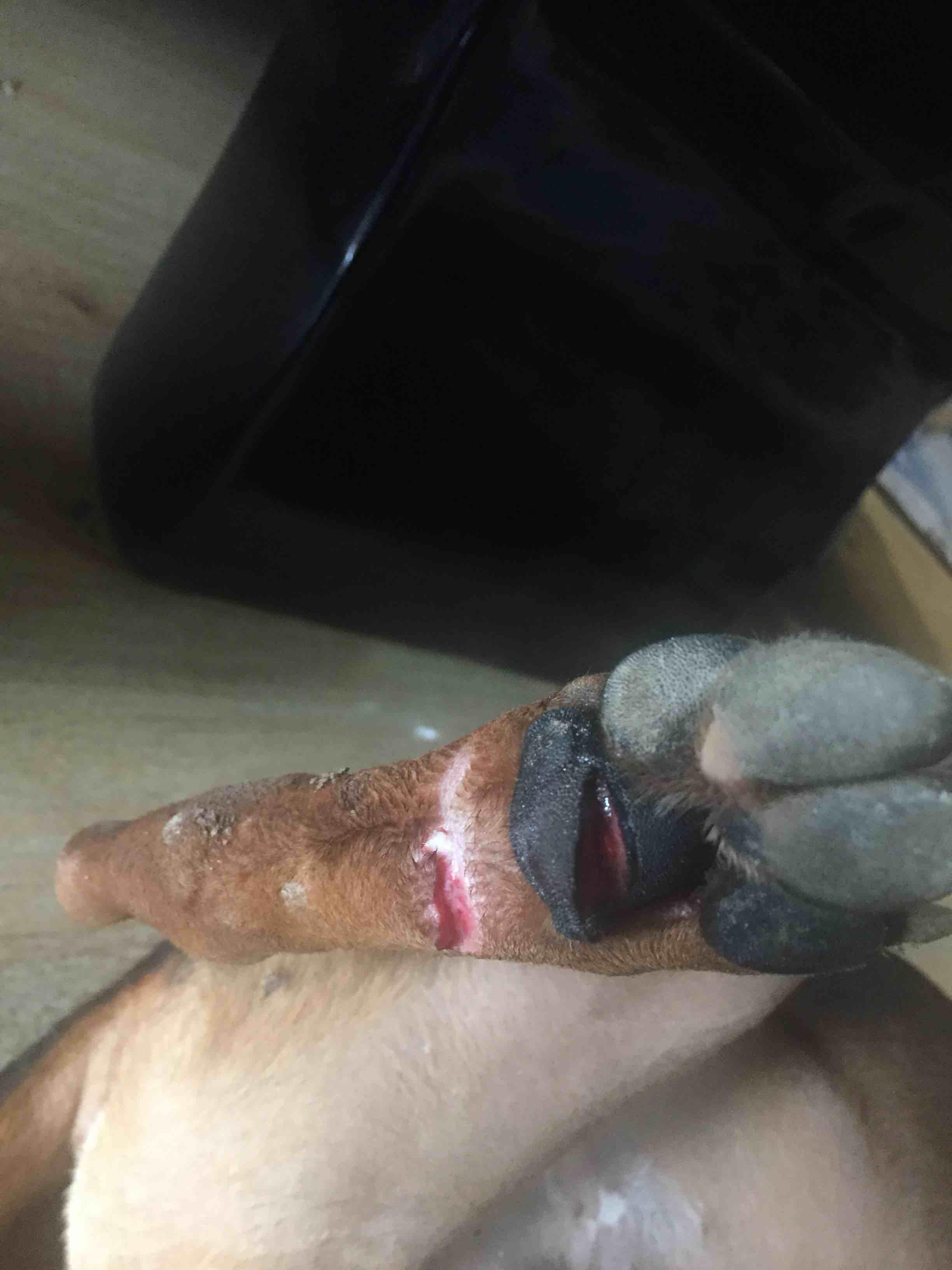 Question details sensitive content