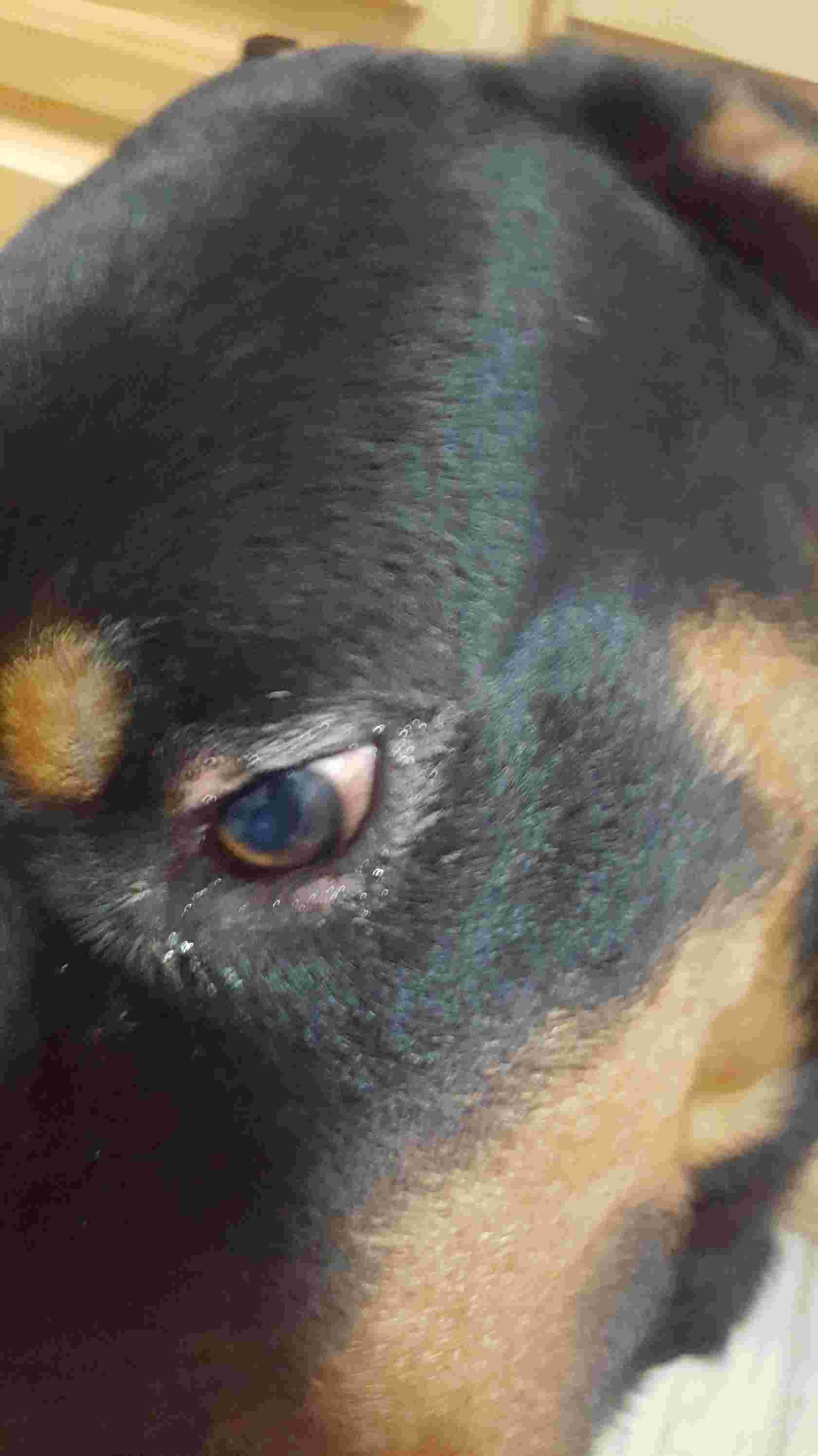 Question details sensitive content