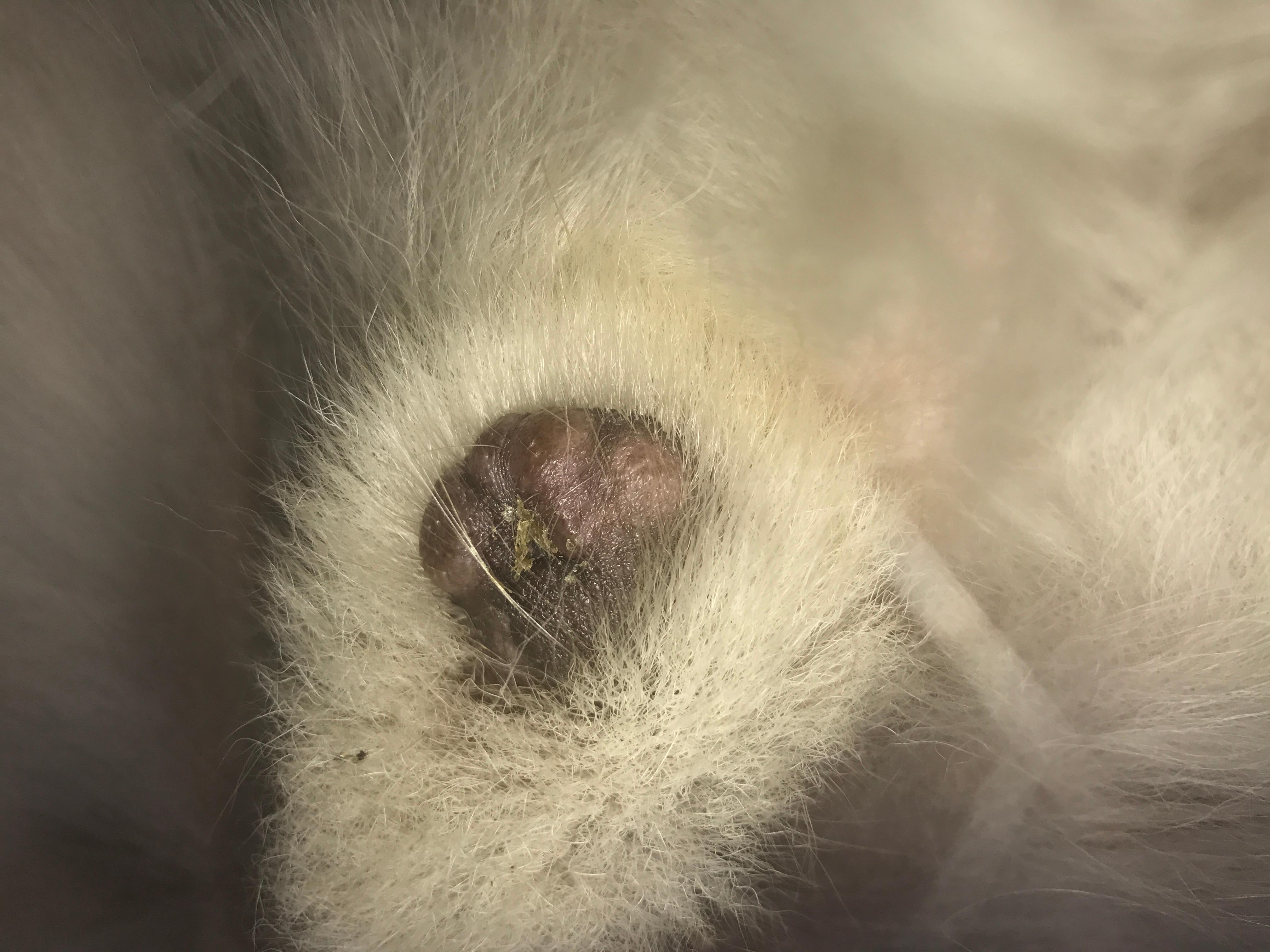 Question details sensitive content