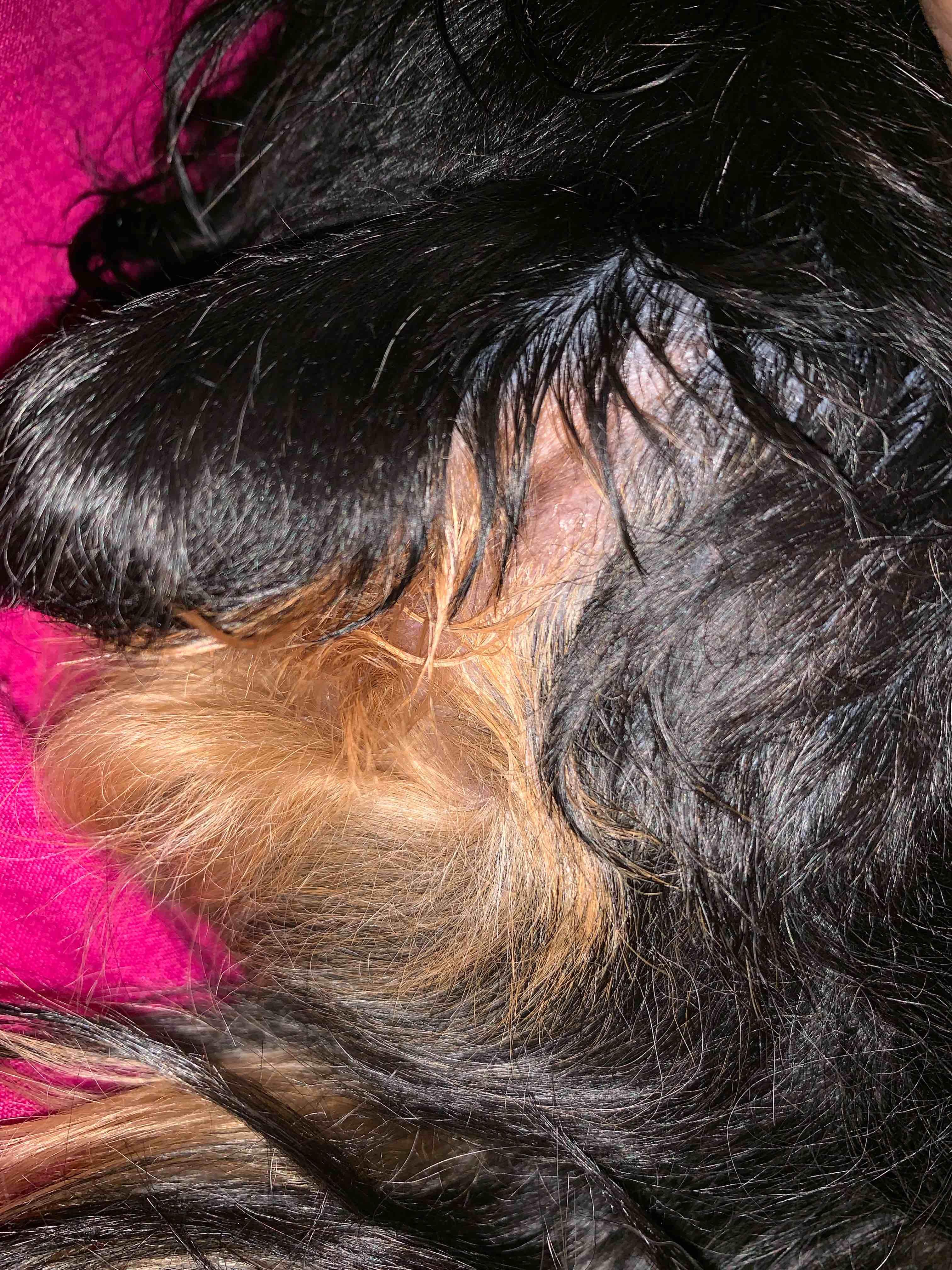 Question details sensitive content