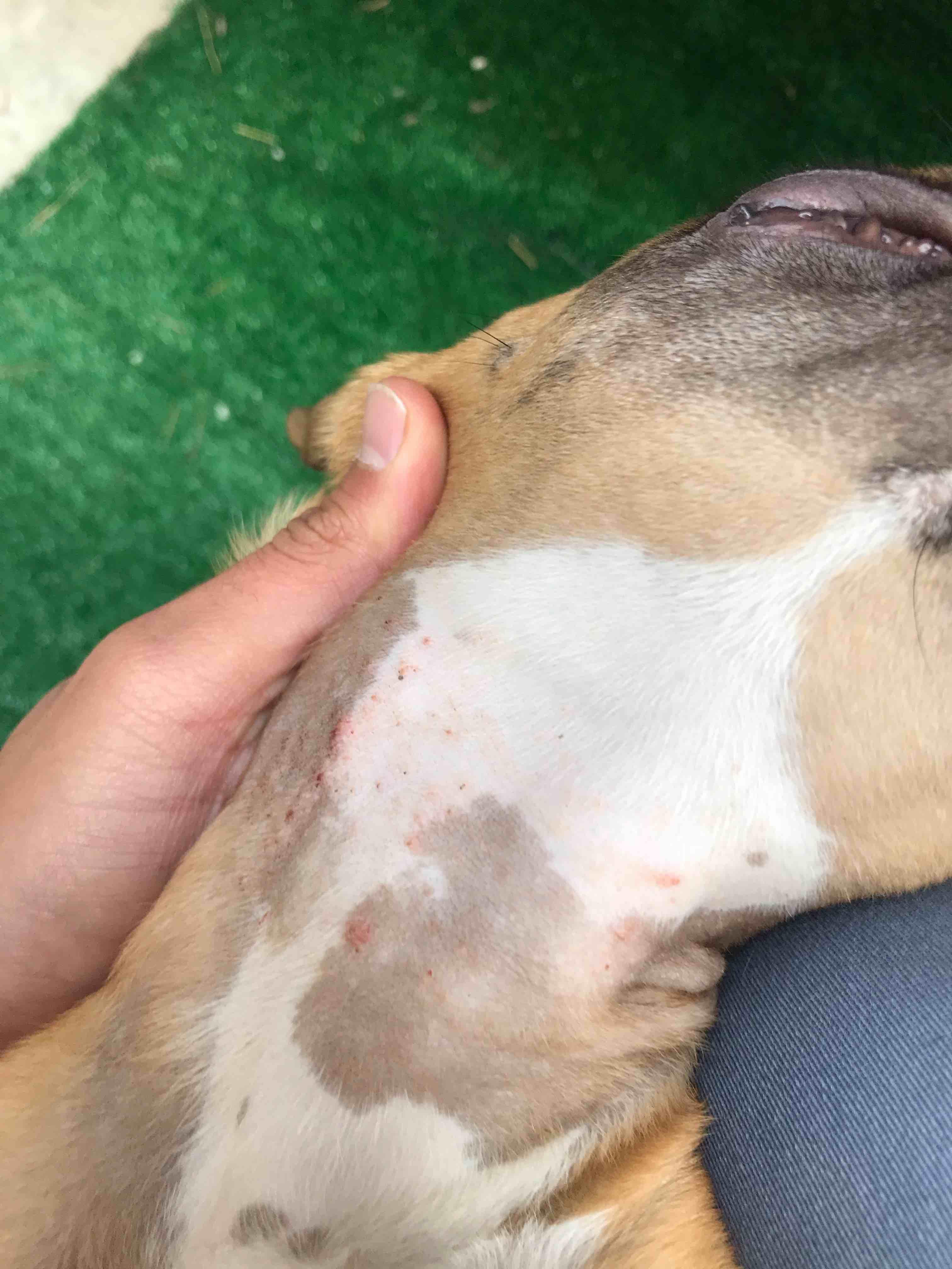 Question details sensitive content