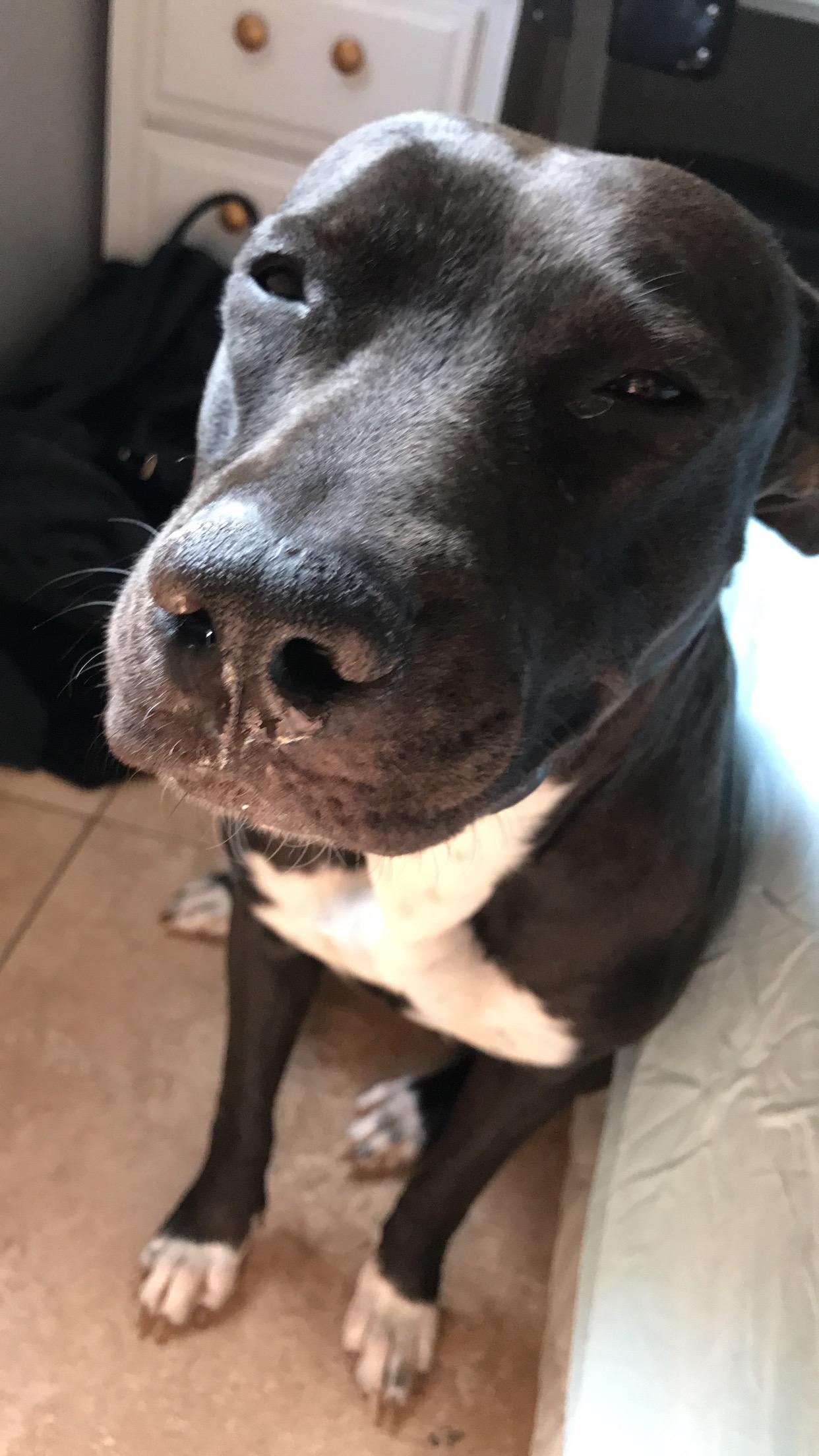 Question details sensitive content