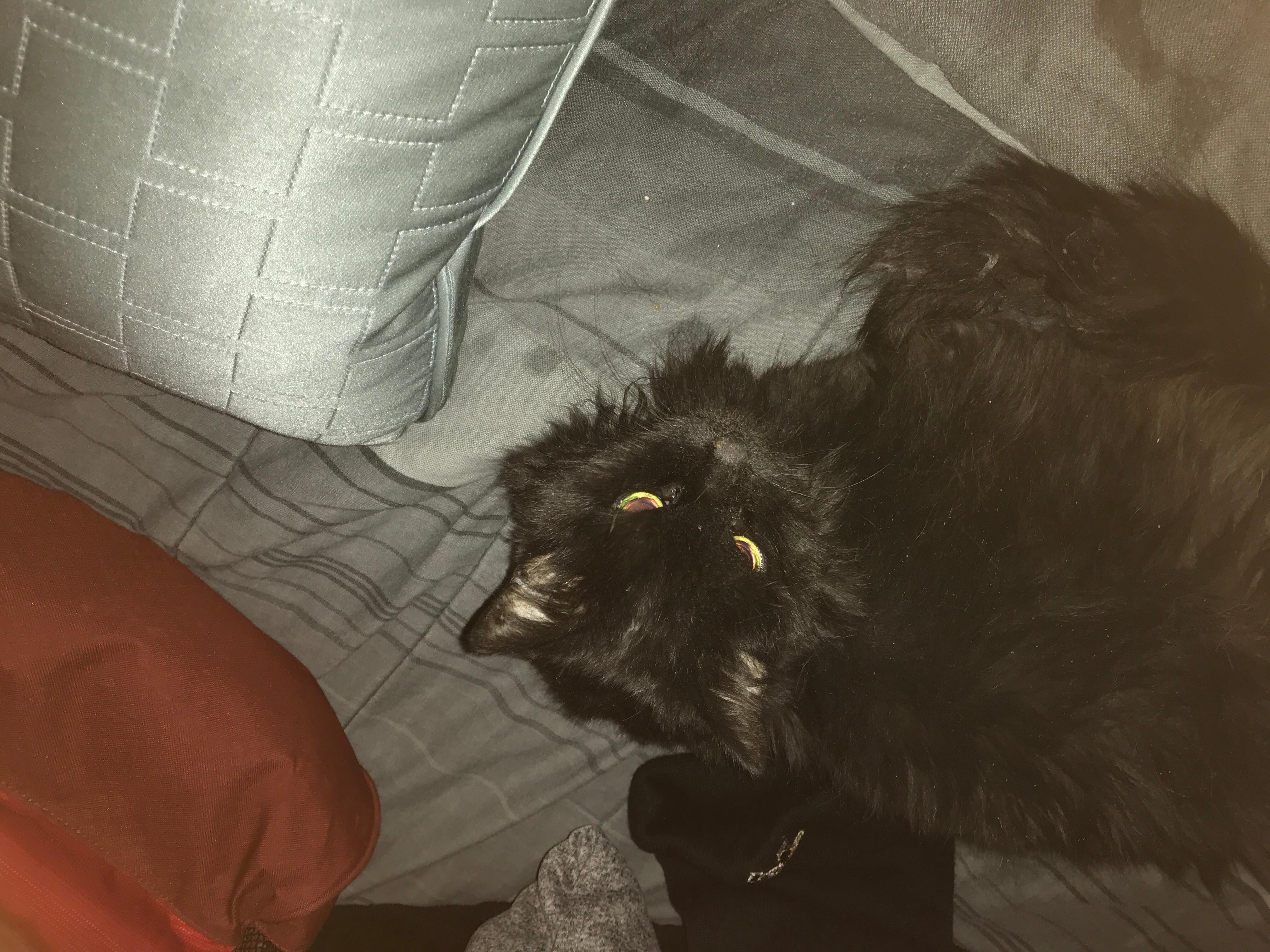 Question details sensitive content