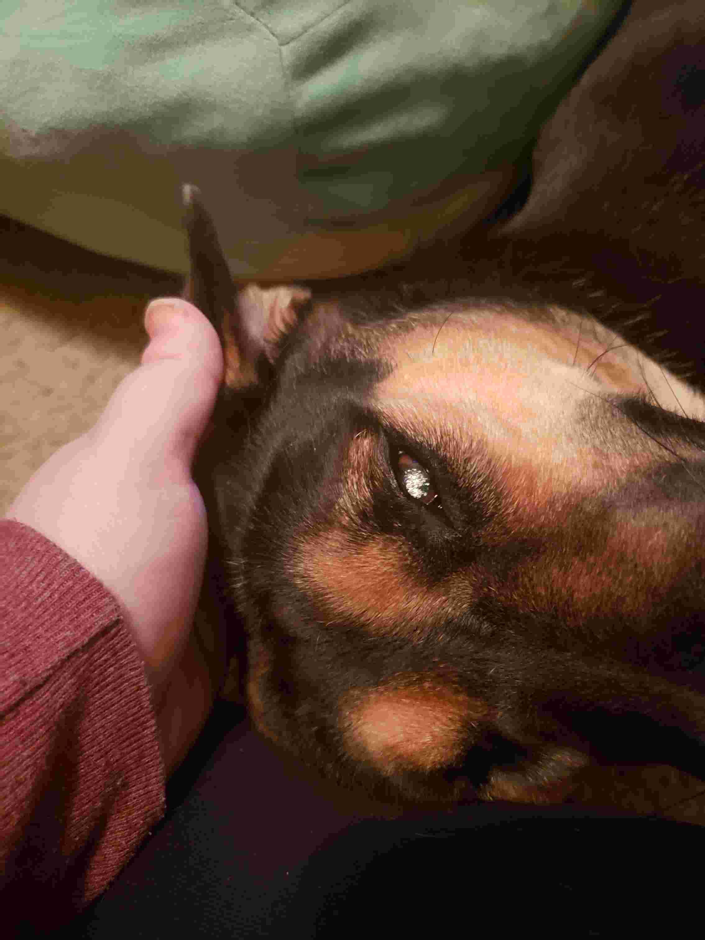 Question details sensitive content