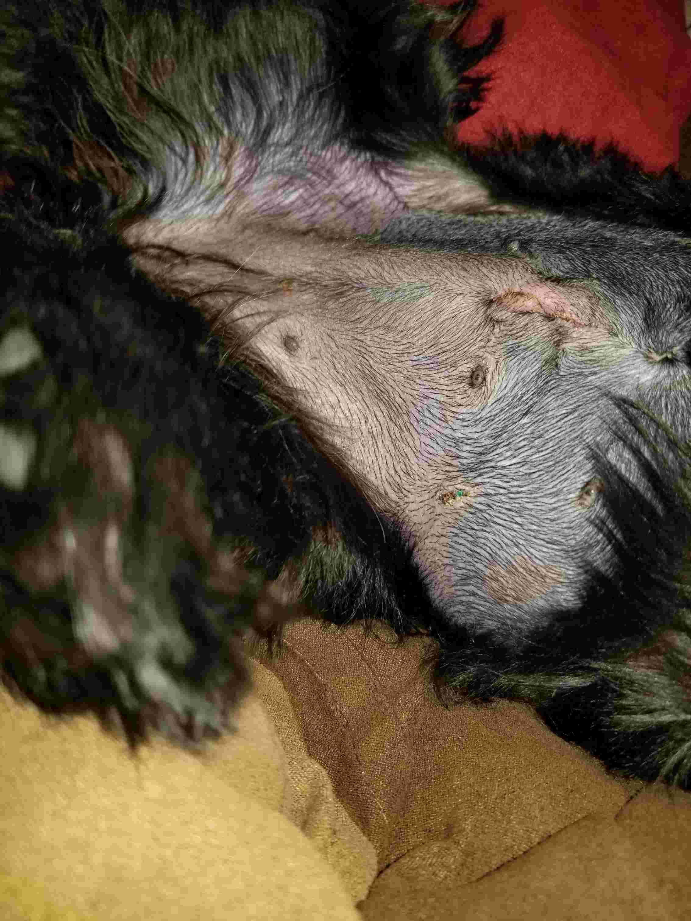 Question details sensitive content