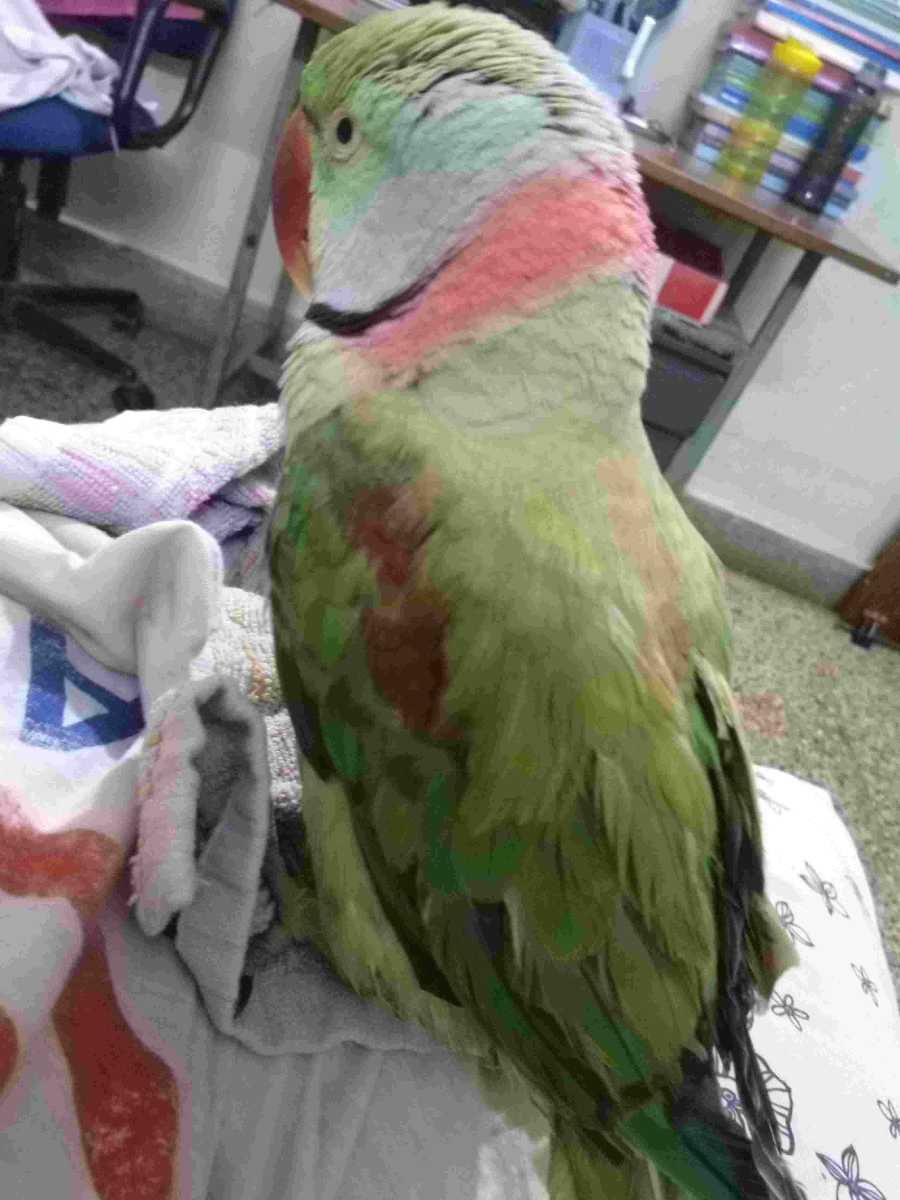 Question details sensitive content