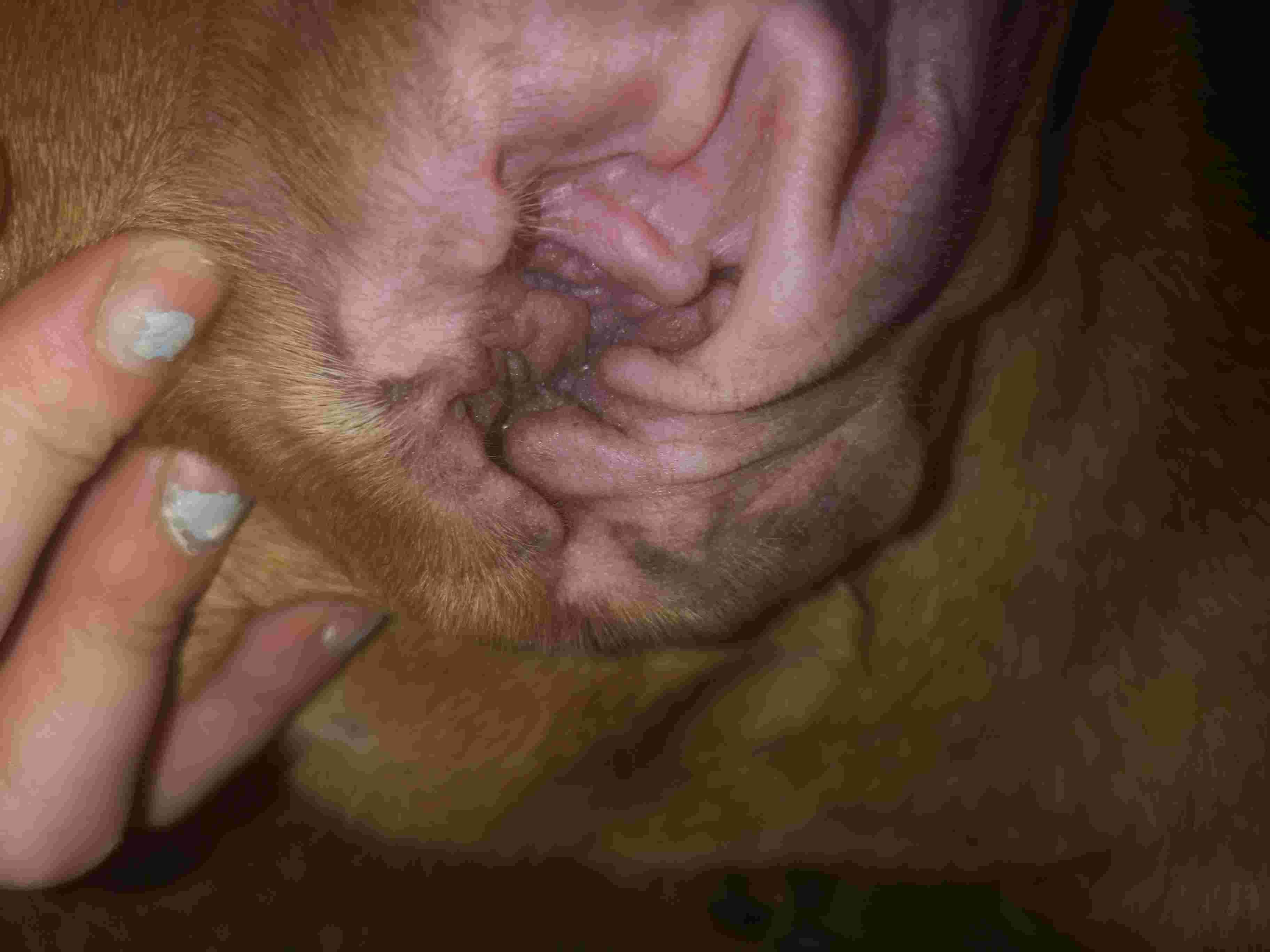 Question details sensitive content