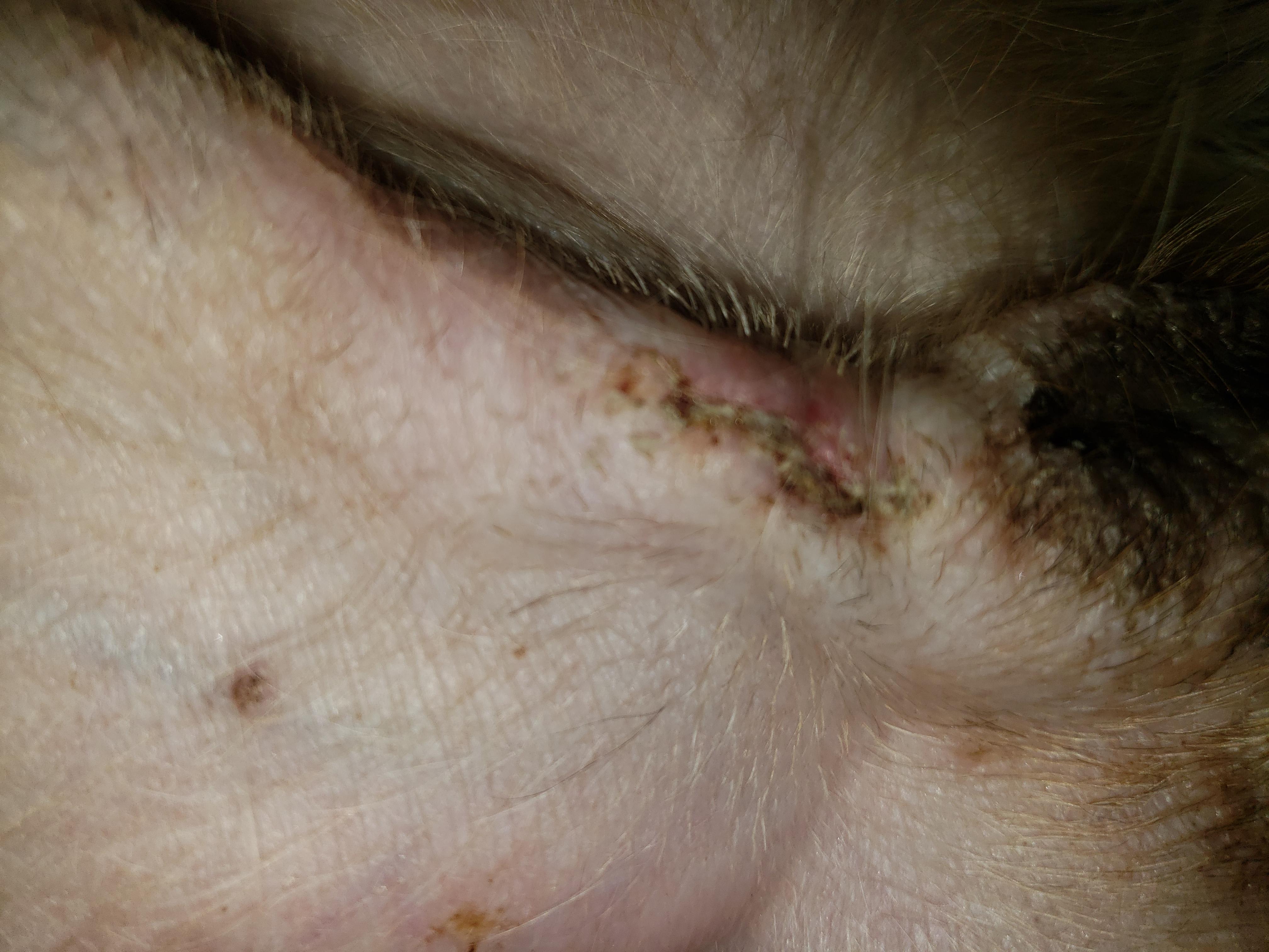 Question details sensitive content