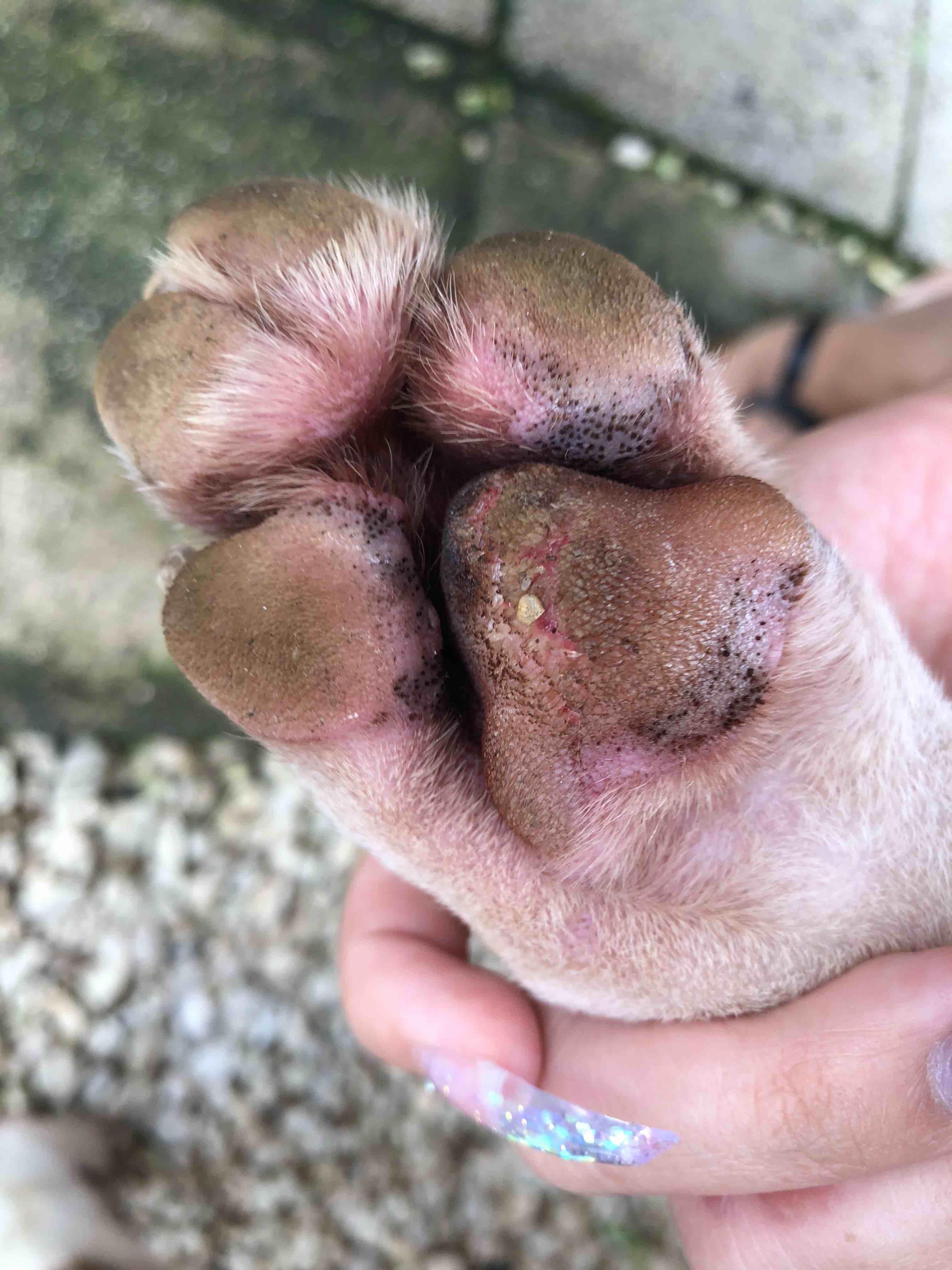 Question details sensitive content